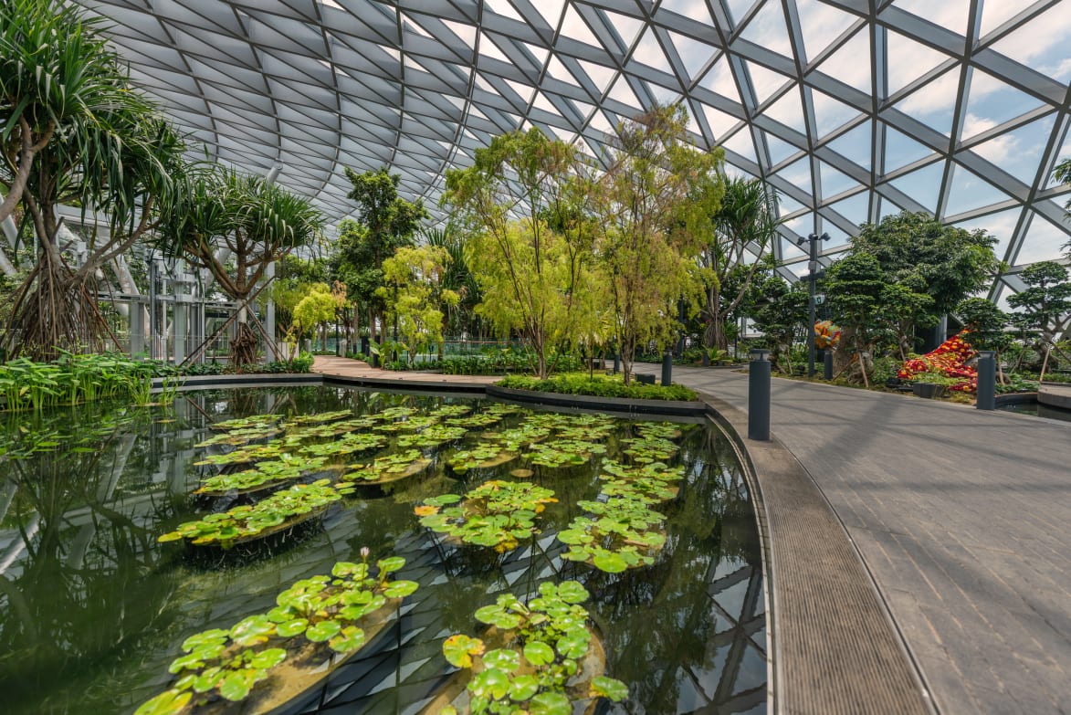 changi jewel canopy park singapore