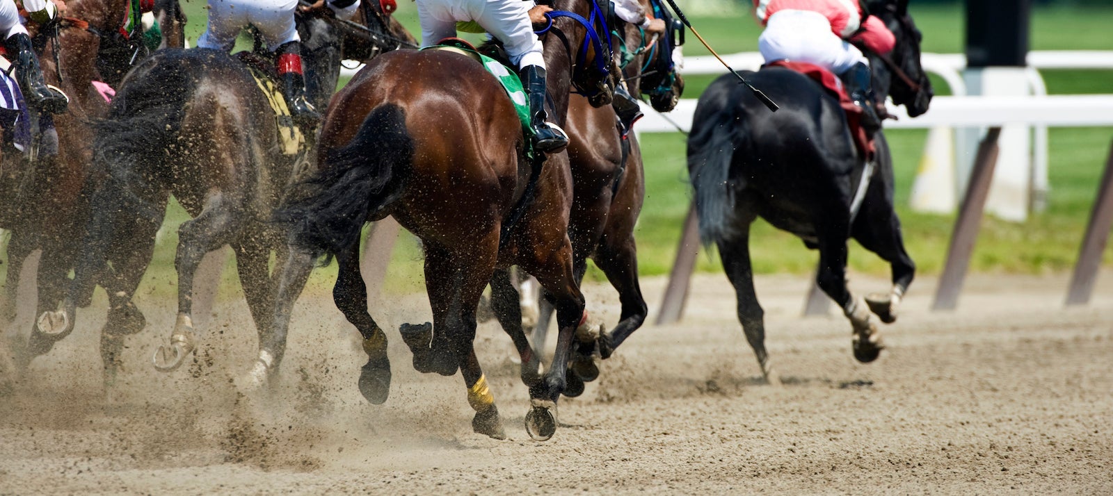 Horse racing track