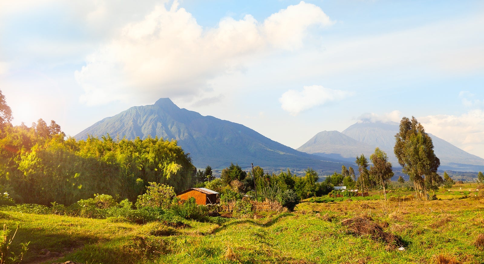 Virunga Mountains and Volcanoes in Rwanda