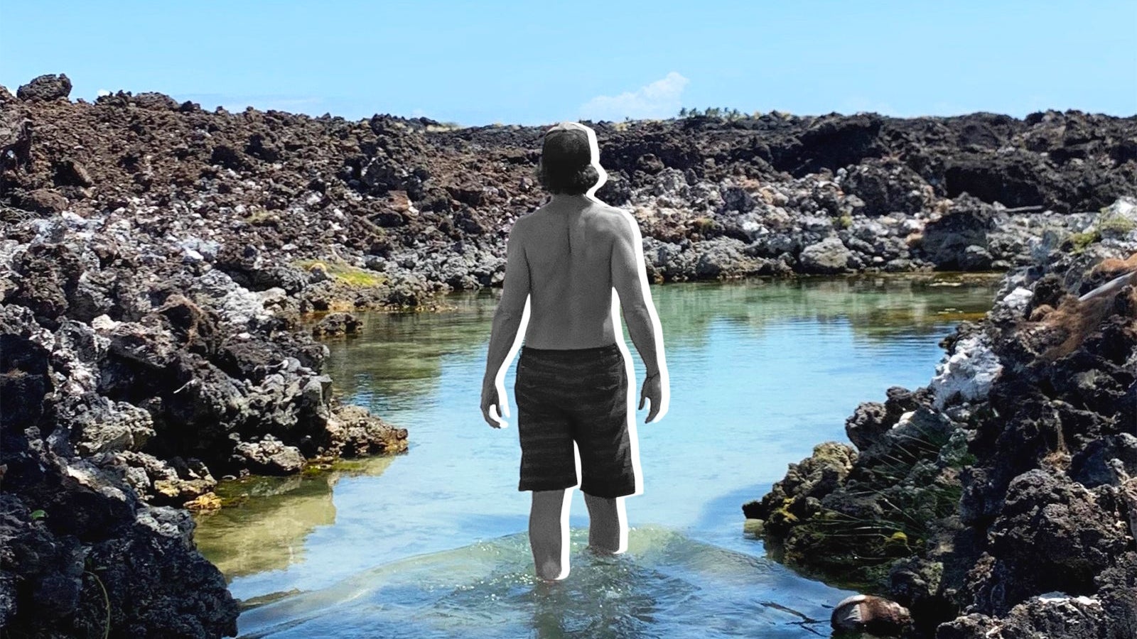 tpmb-bigisland-feature2-bb