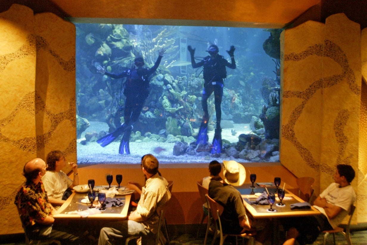 walt disney world coral reef restaurant
