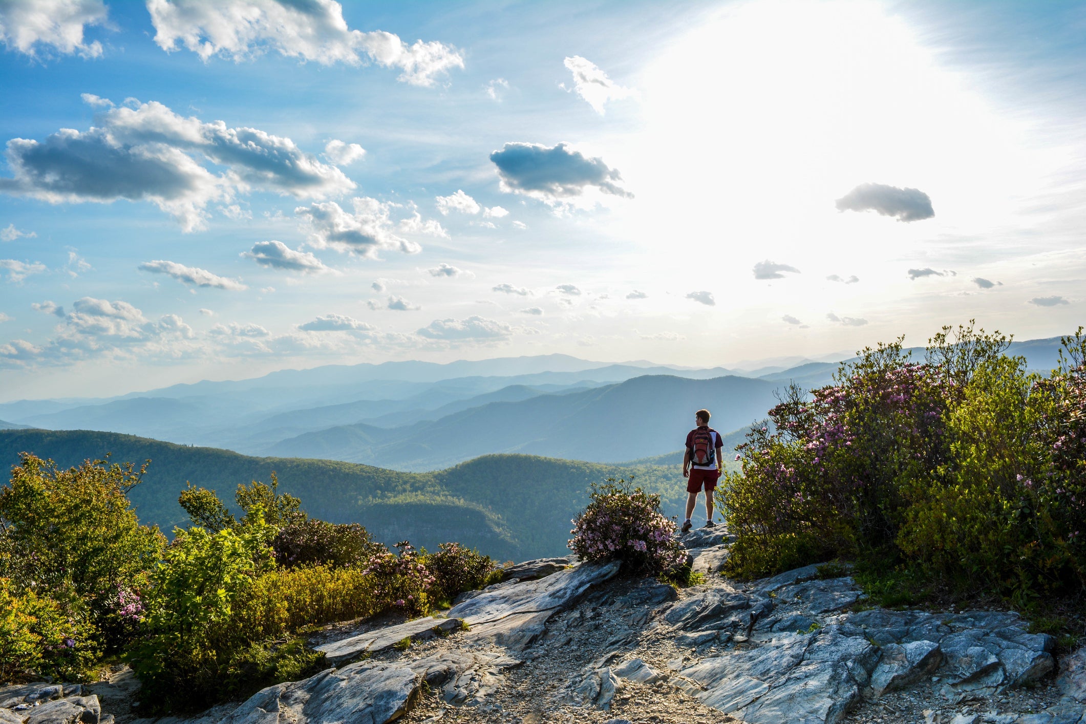 Photo Taken In Asheville, United States