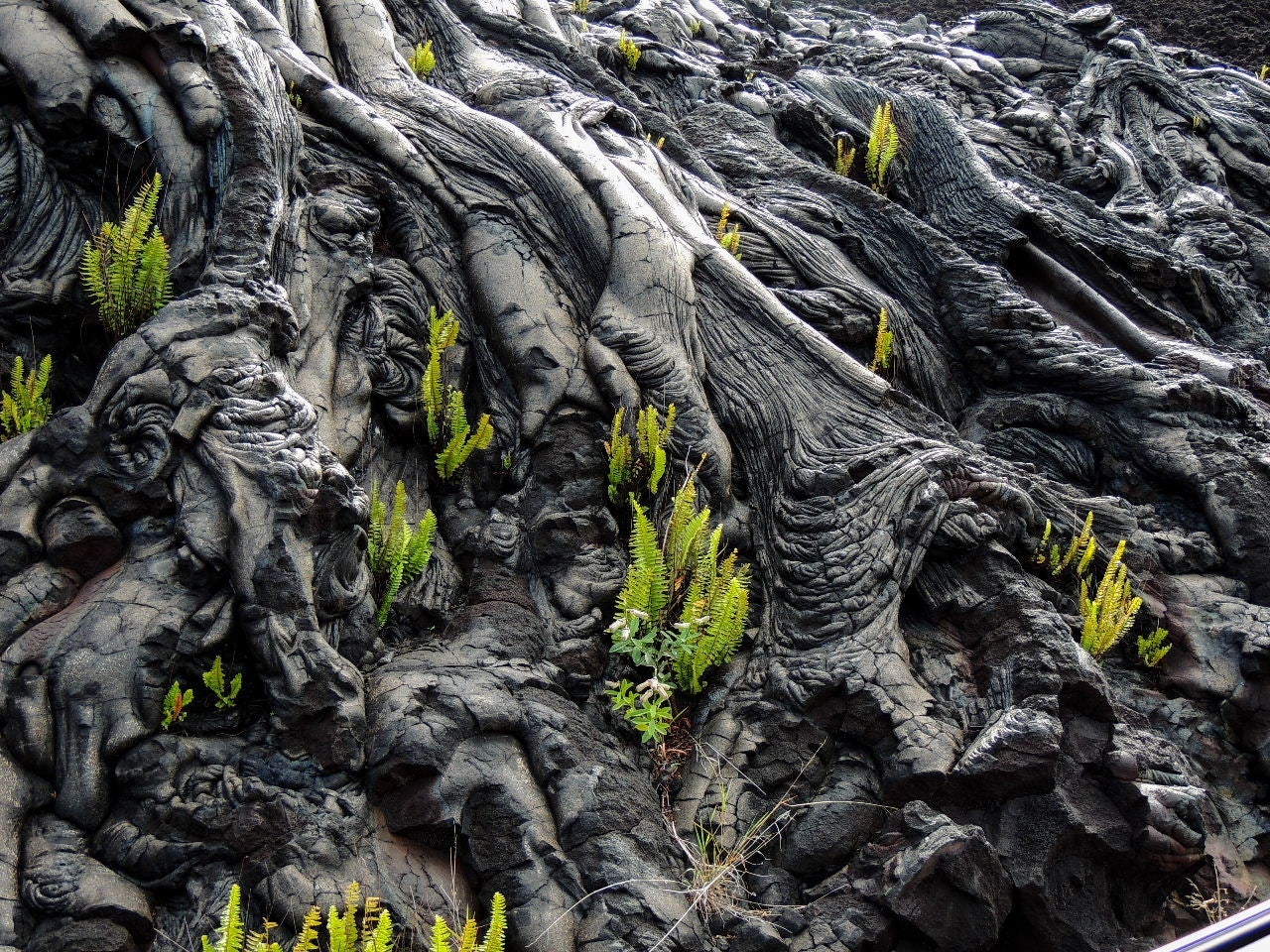 Hawaii Volcanoes National Park