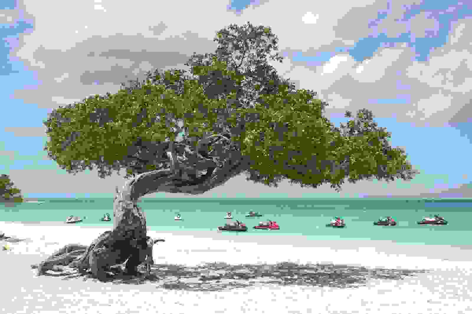 Eagle Beach in Aruba. (Photo by Marc Boettinger / Getty Images)