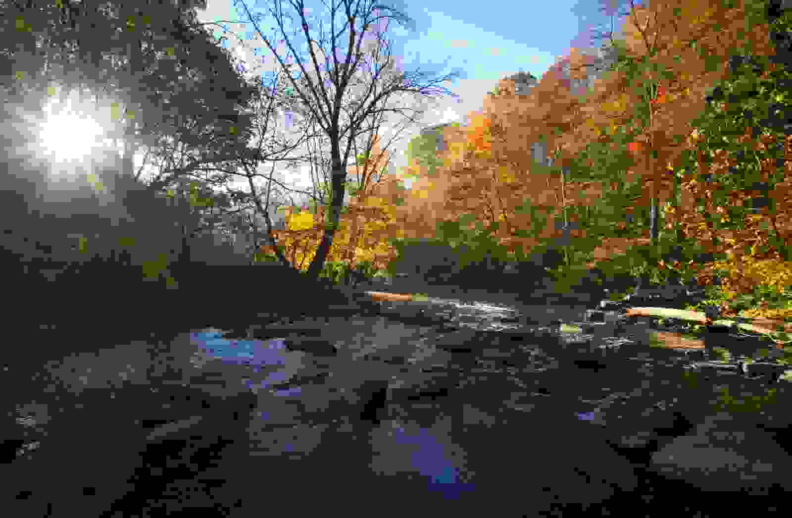 Rock Creek Park, Washington DC. (Photo by WLDavies / Getty Images)