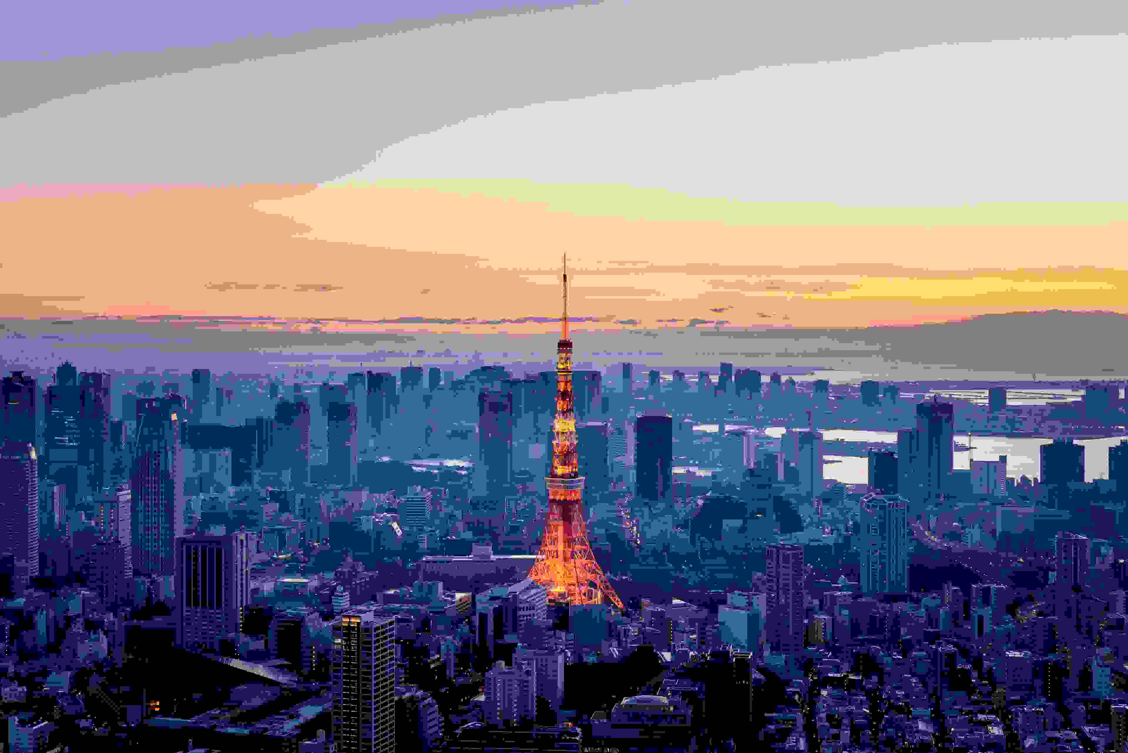 Anyone would love exploring Tokyo. (Photo by Yukinori Hasumi/Getty Images)