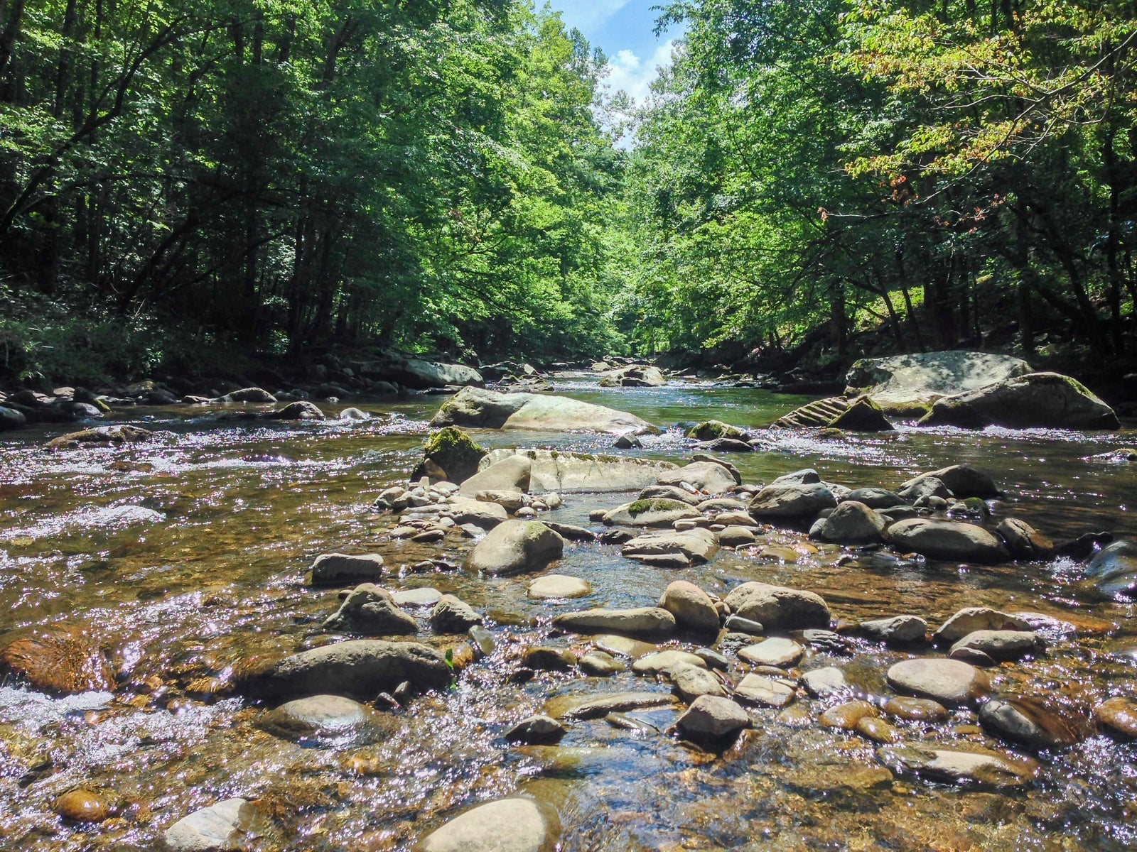 Little Pigeon River (Photo by Caitlin Riddell/The Points Guy)