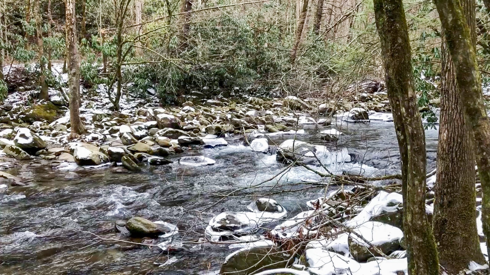 Snowy view of the Little Pigeon River in Pigeon Forge, TN (Photo by Caitlin Riddell/The Points Guy)