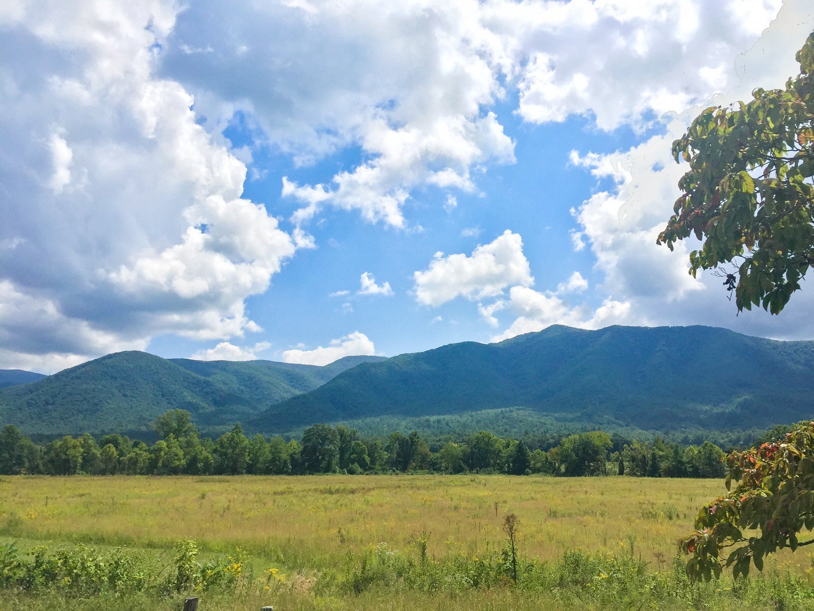 Townsend, TN (Photo by Caitlin Riddell/The Points Guy)