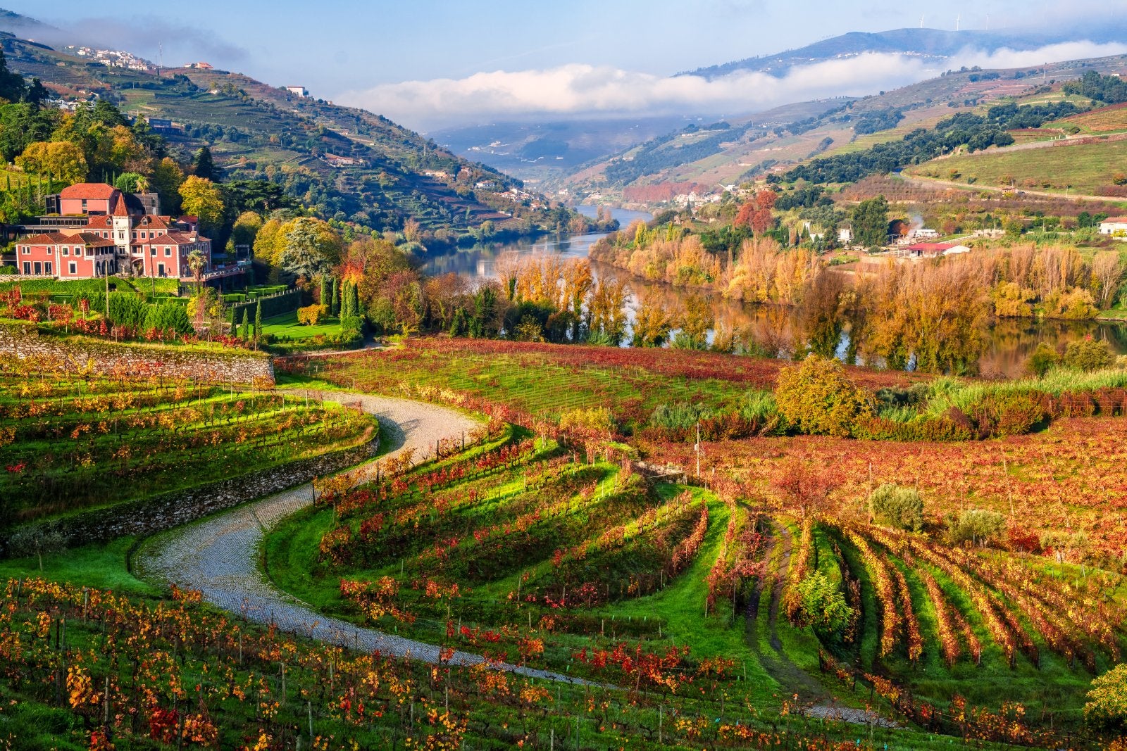 Vineyards and autumn in Portugal's Douro Valley.