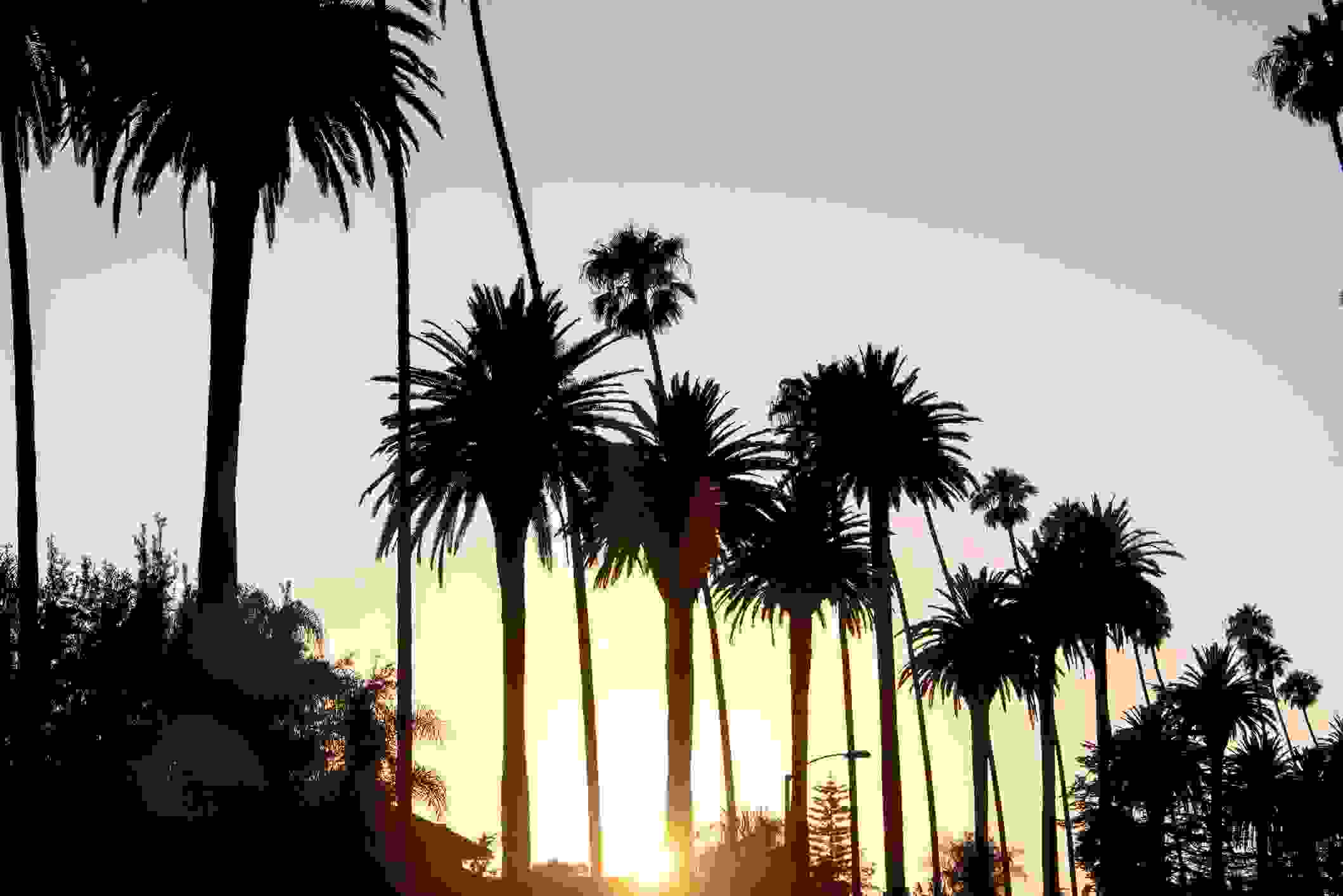 West Hollywood in summer time - there is nothing like it. (photo credit: coolimagesco)