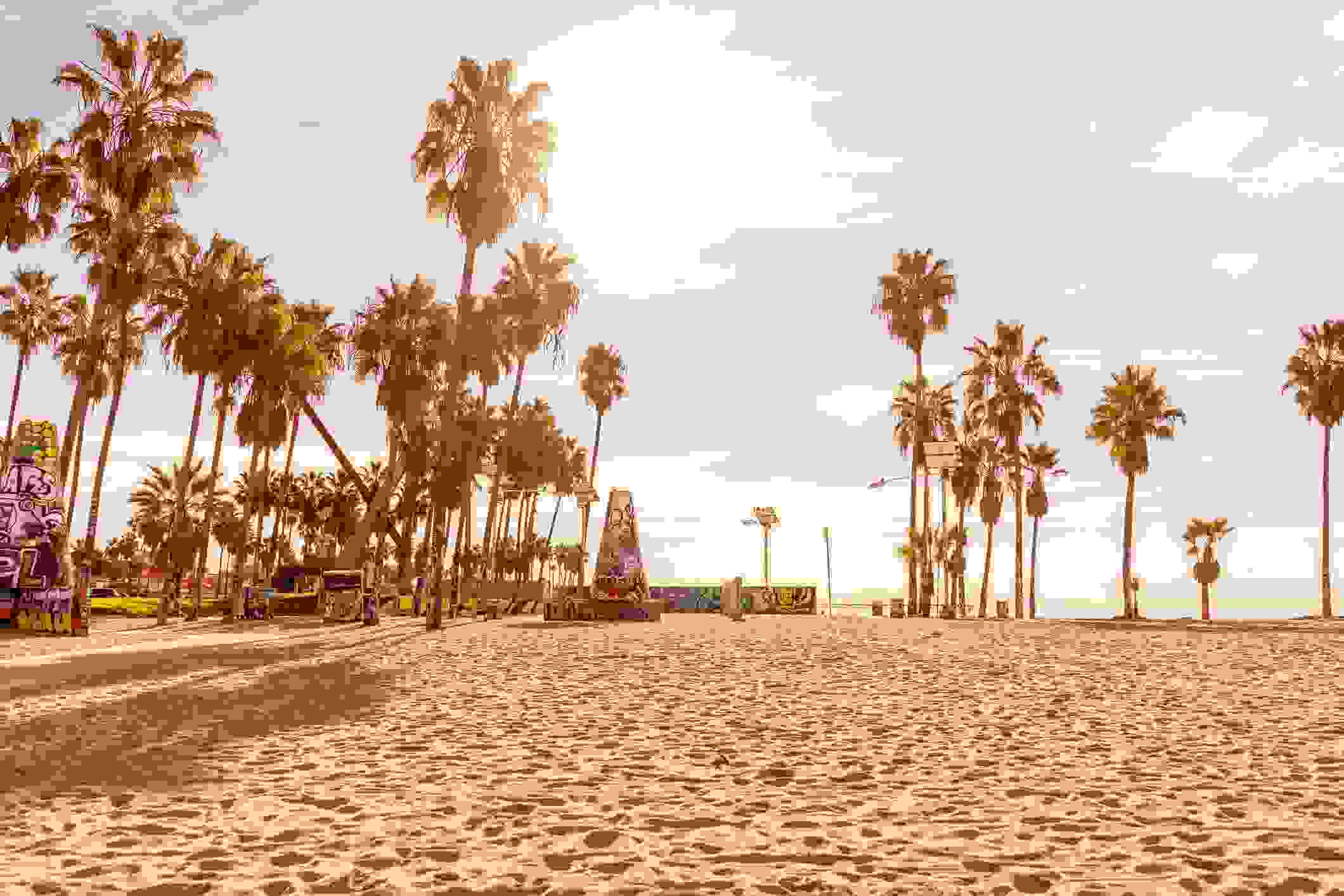 Venice beach in the morning. (Photo courtesy of Yuliia Hrozian)