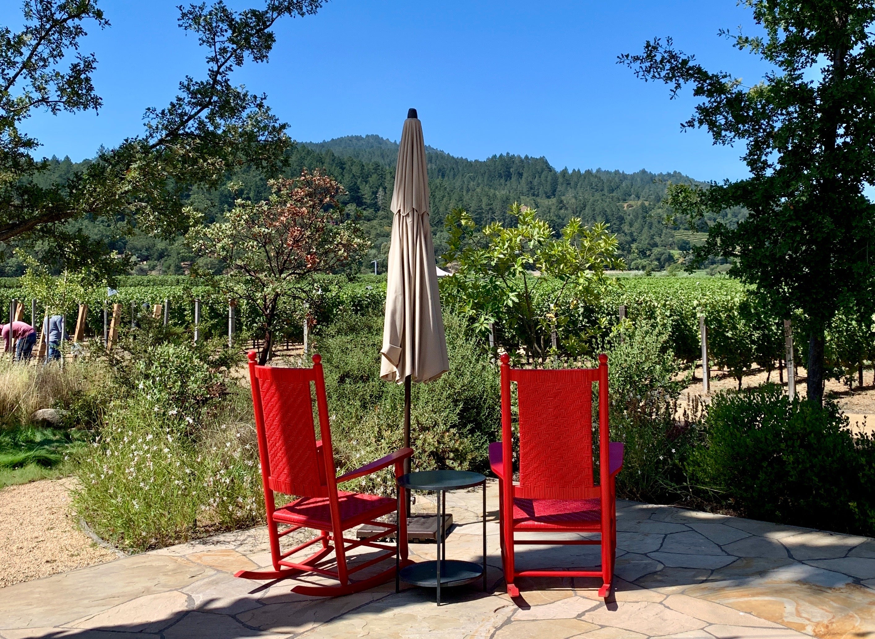 The gardens at Larkmead Vineyard. Photo: Melanie Haiken