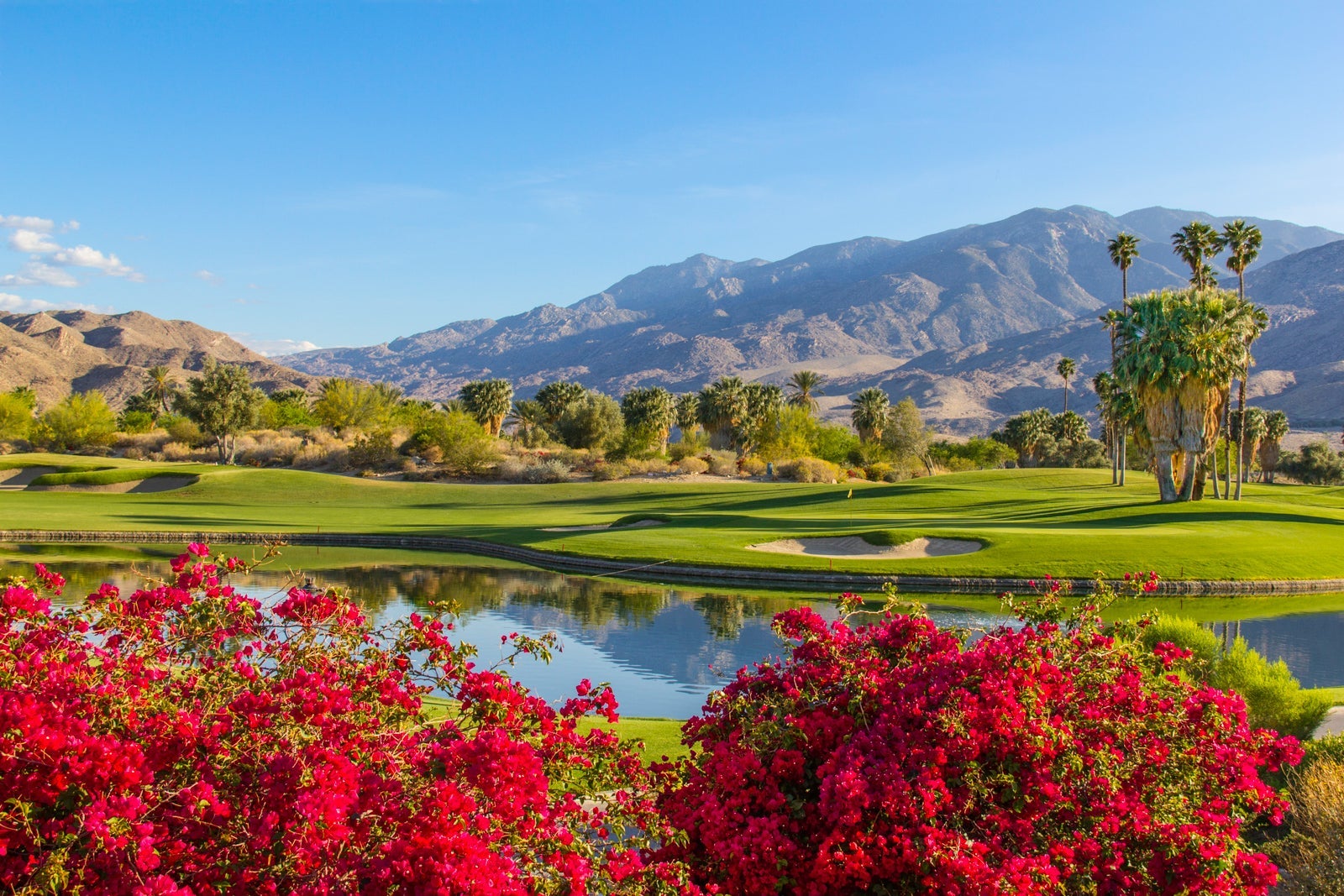 Some TPG Lounge readers said they would like to receive bonus points for playing golf. (Photo by Ron and Patty Thomas/Getty Images)