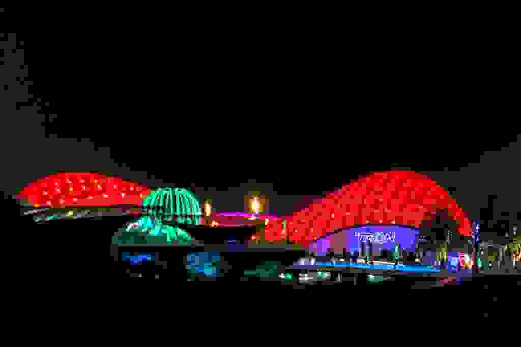 Tron at night. (Photo by Dia Adams)