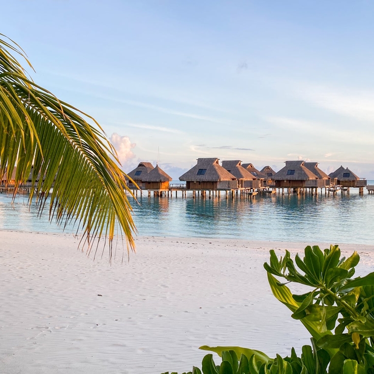 Hilton Honors American Express Card review: Solid perks for beginner travelers
