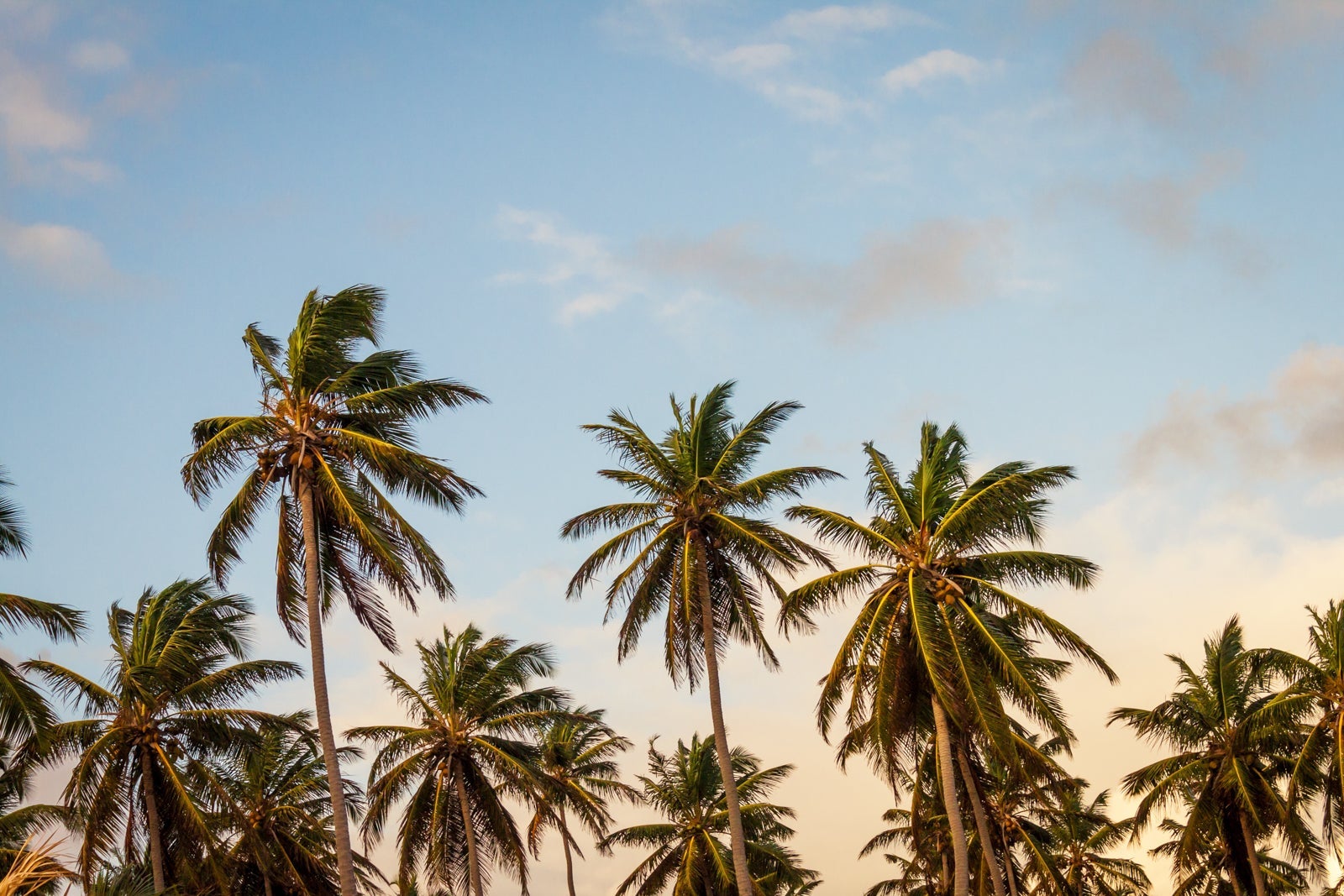 Best times to visit the Caribbean - The Points Guy