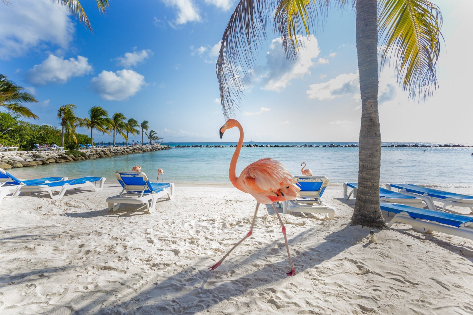 I found myself in Aruba for my 2020 solo mom trip.