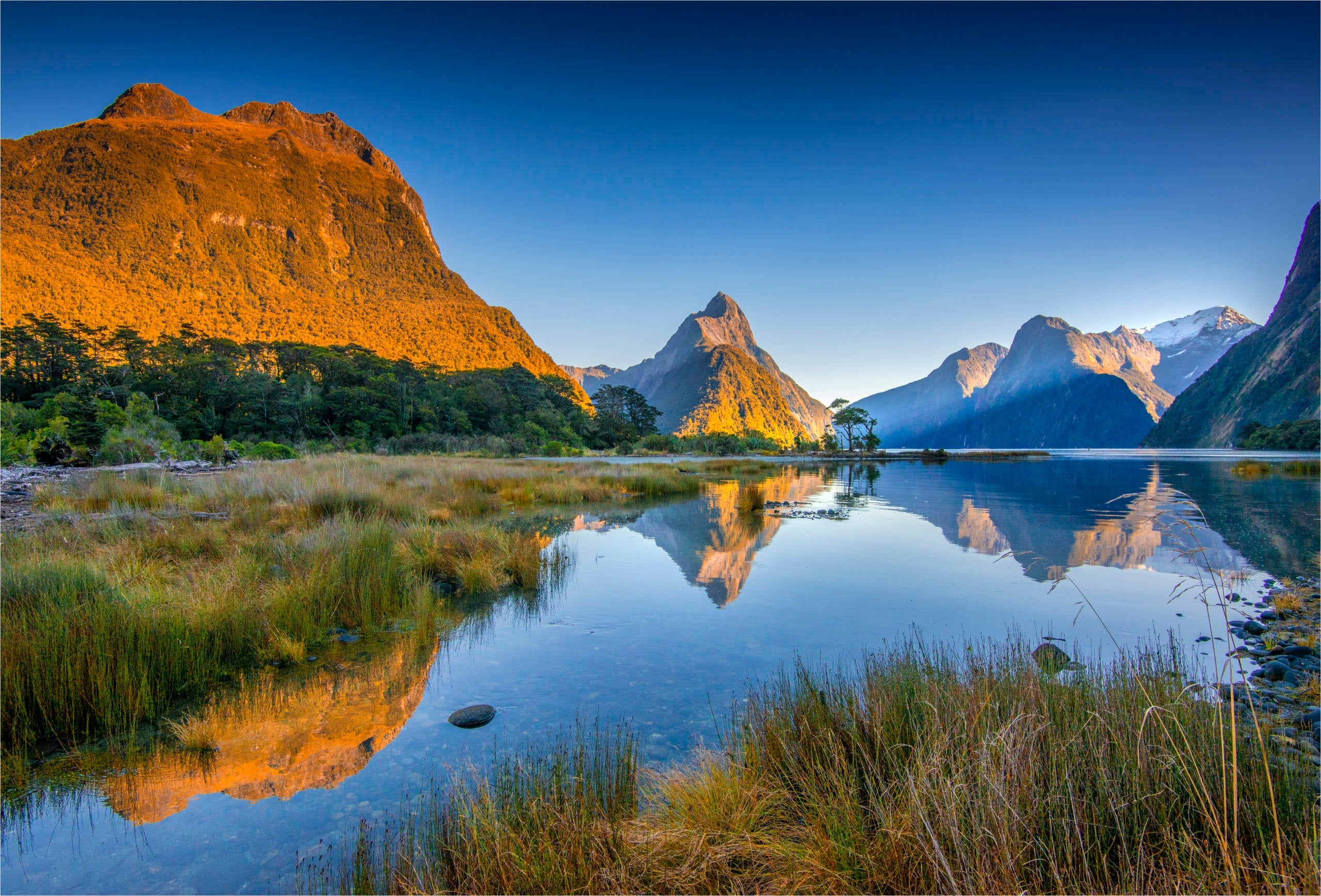 New Zealand