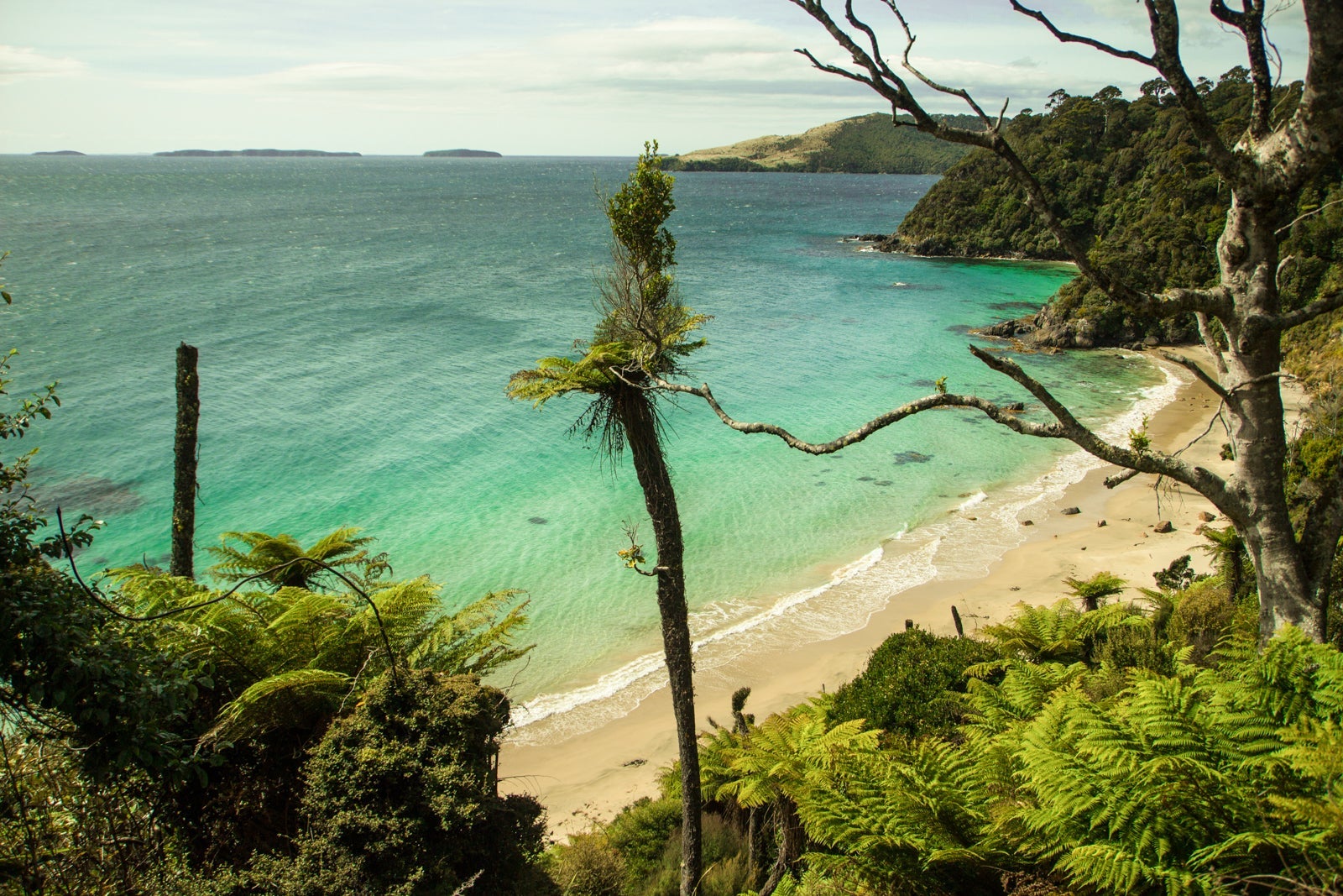 Rakiura National Park. (Photo via Shutterstock)