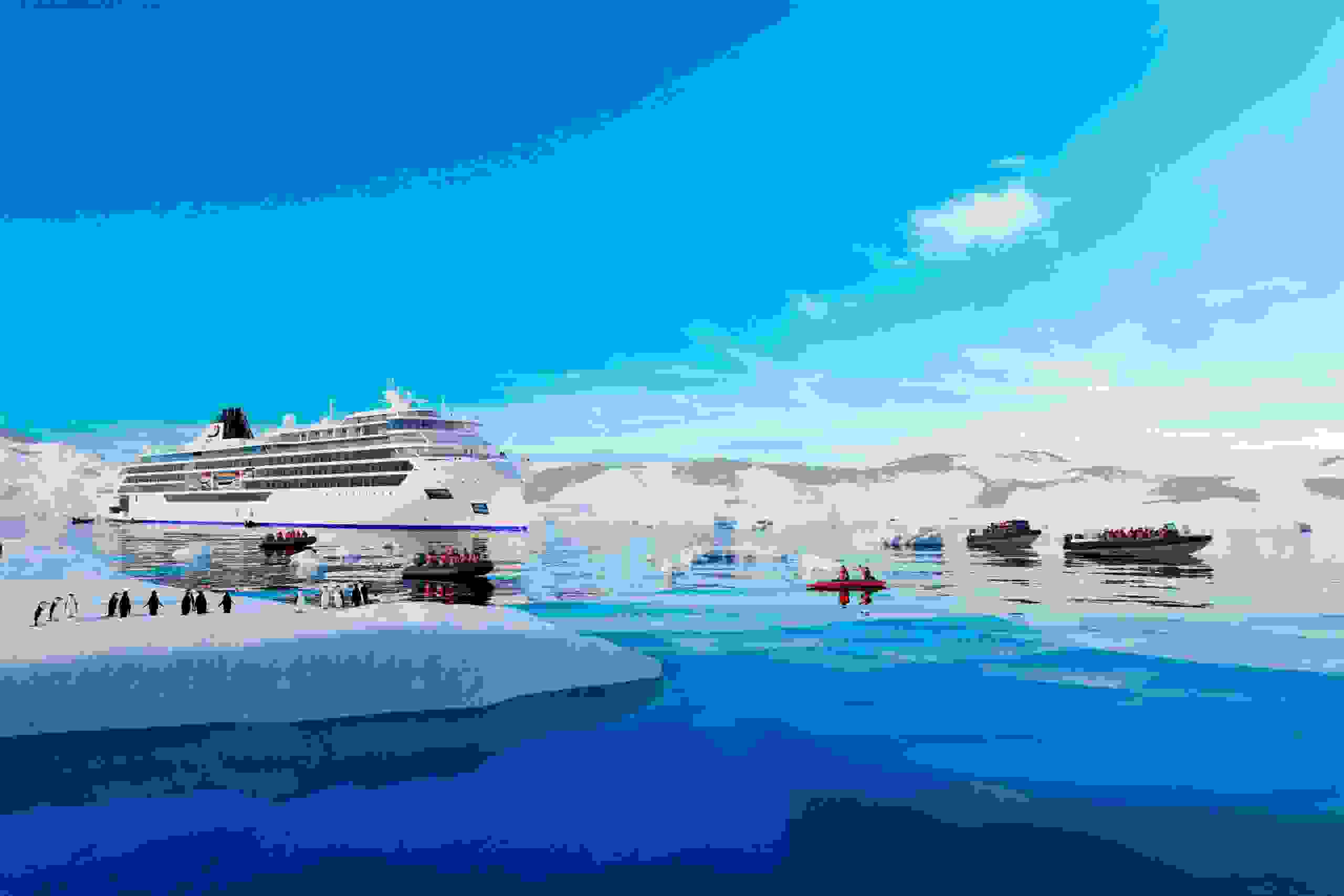 Viking's new expedition ships will spend a significant part of the year sailing in Antarctica. (Image courtesy of Viking)