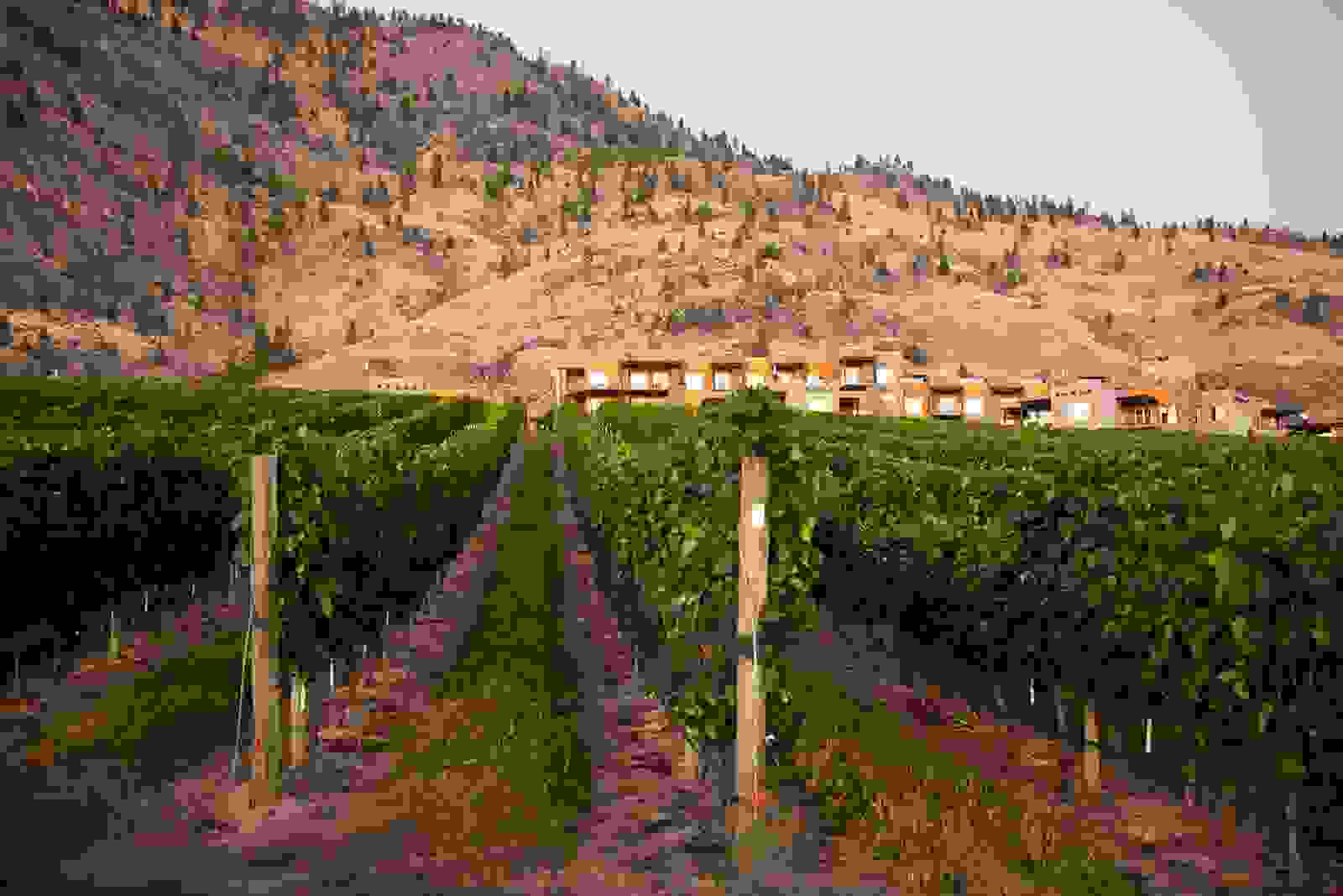 Canada's Okanagen Valley wine region. (Photo courtesy of Destination Canada)
