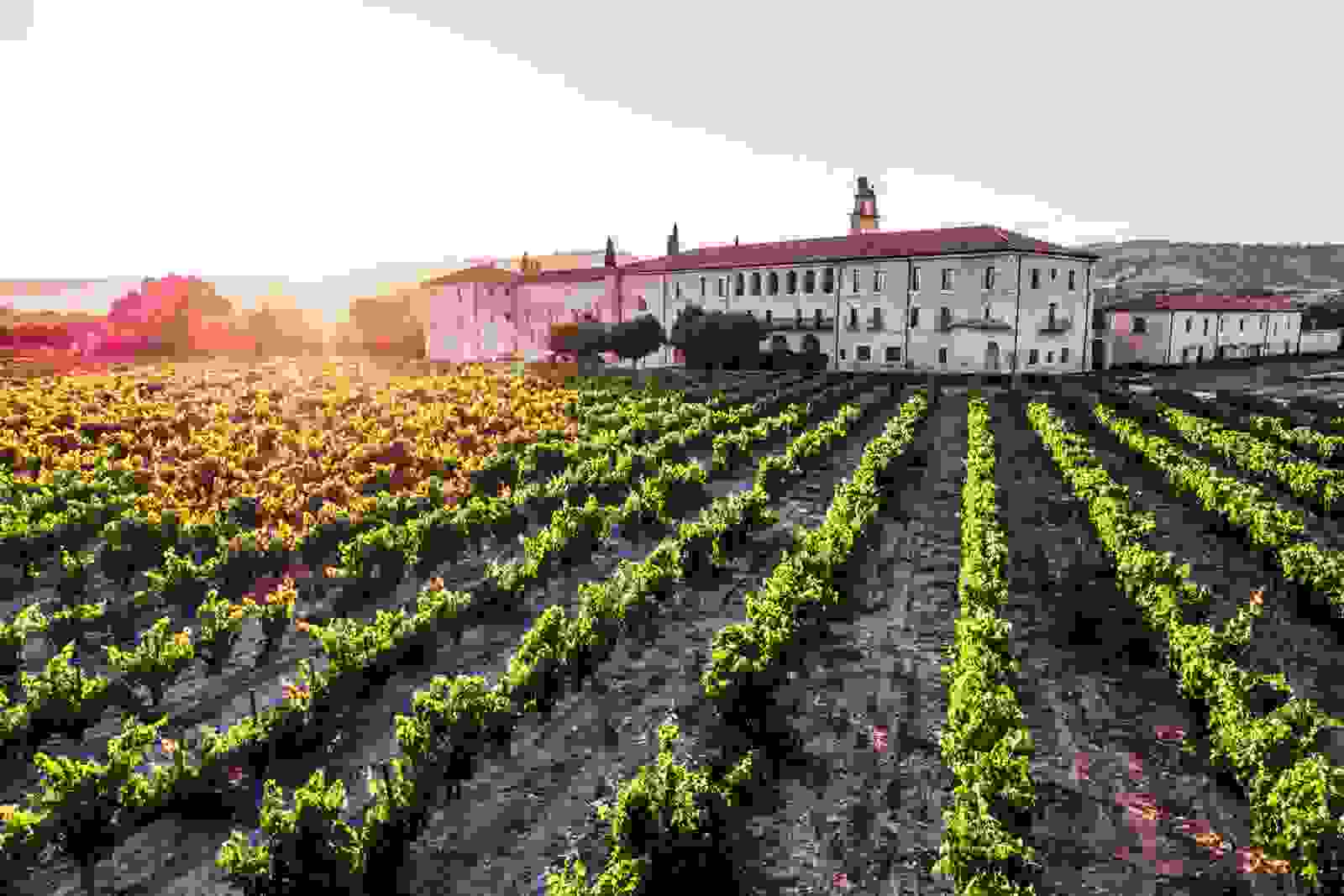 (Photo courtesy of LeDomaine)