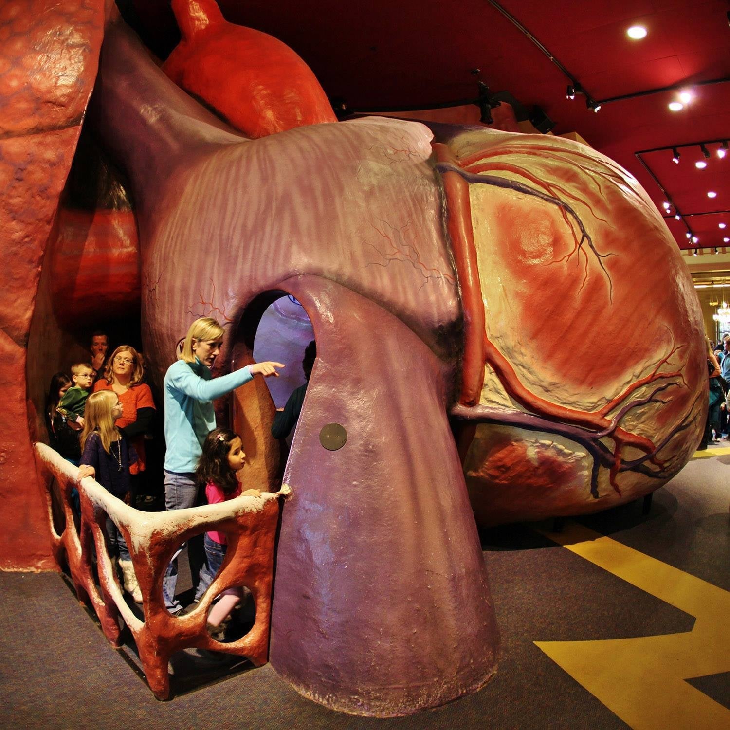 The giant heart exhibit at The Franklin Institute. (Photo courtesy of The Franklin Institute)