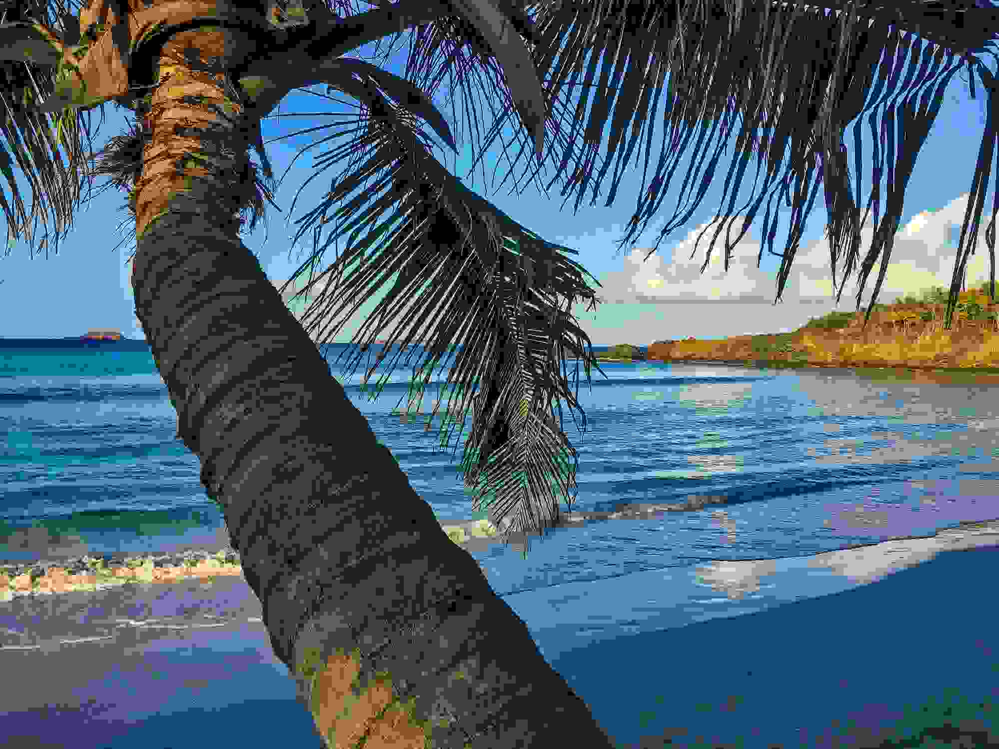 Culebra, Puerto Rico. (Photo by Douglas Hodgkins/EyeEm/Getty)