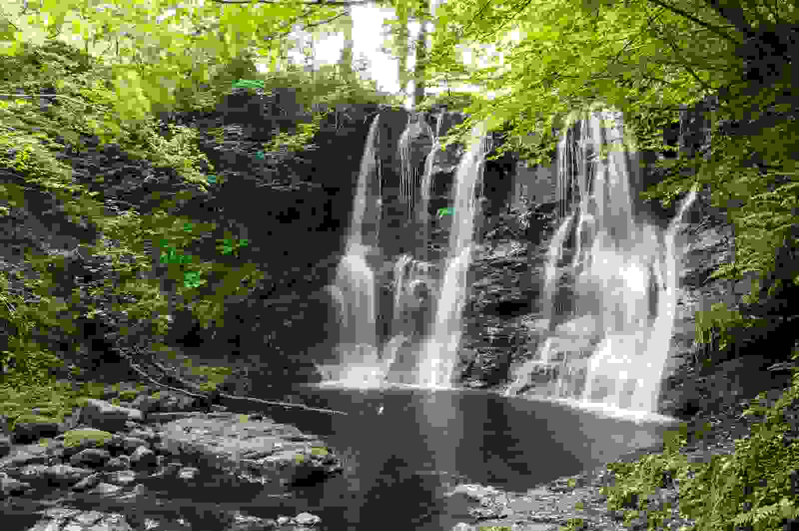 Glenariff Forest Park in Northern Ireland. (Photo by Nicola Ferrari/Getty Images)