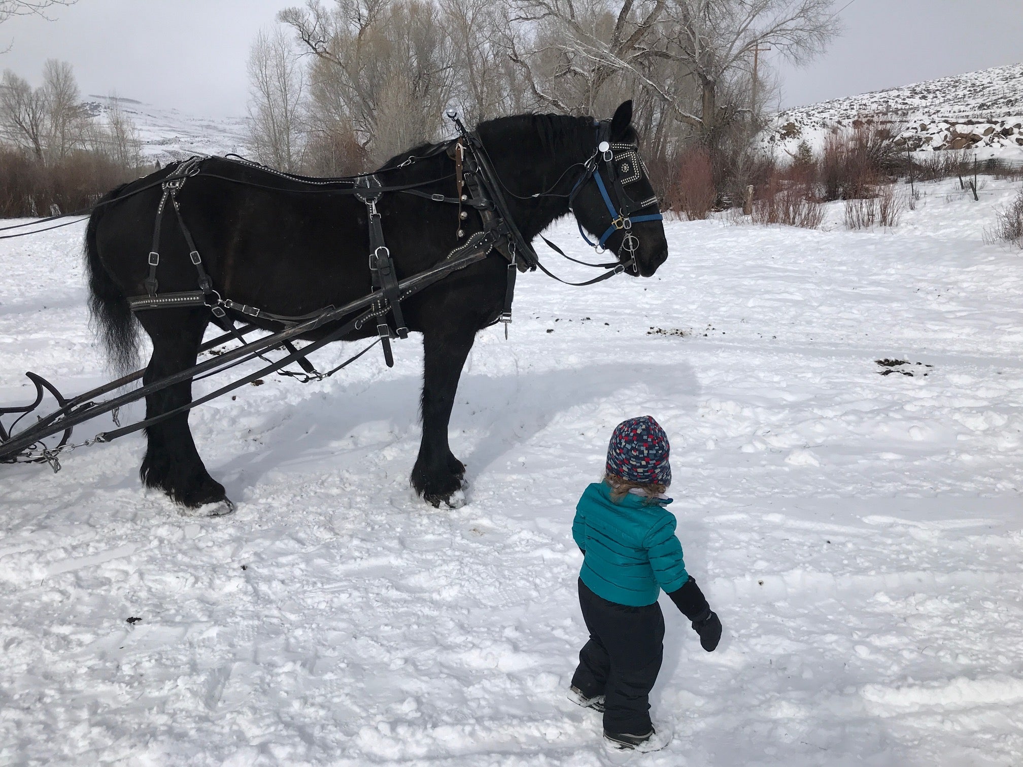 Crested Butte