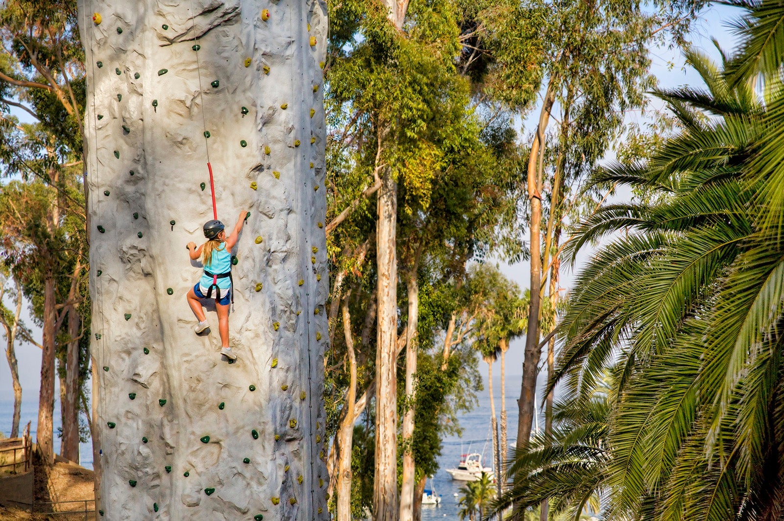 Catalina Climbing Wall