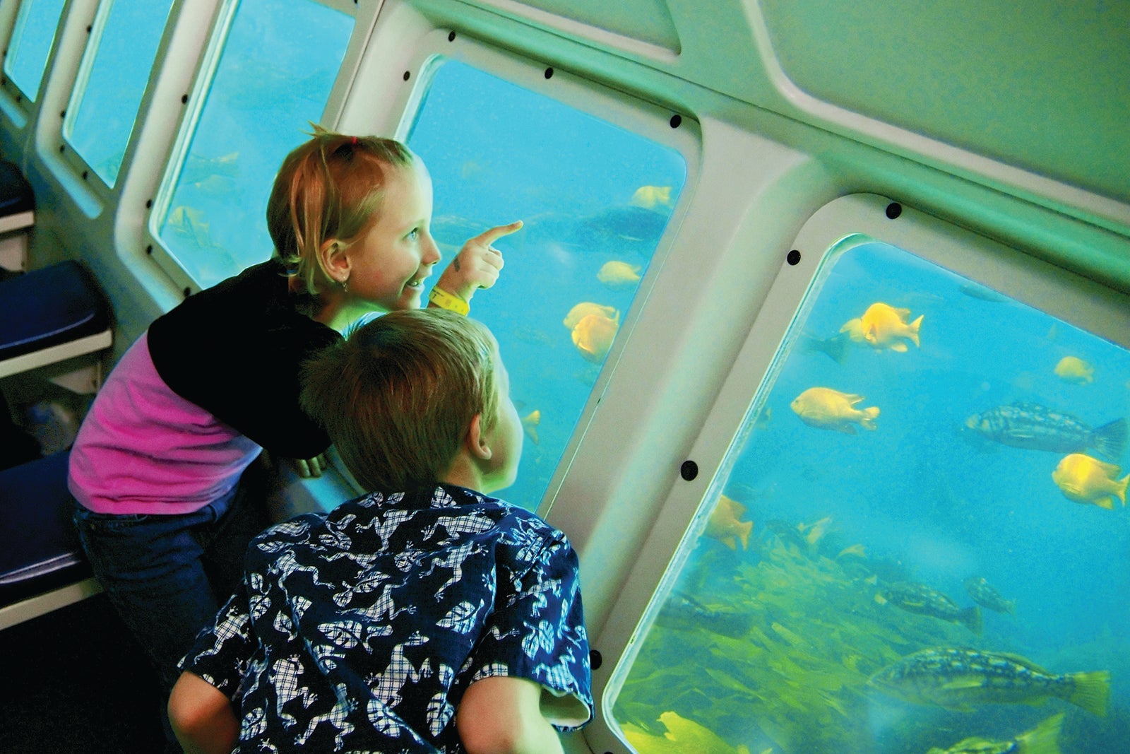 Undersea Expedition Catalina Island