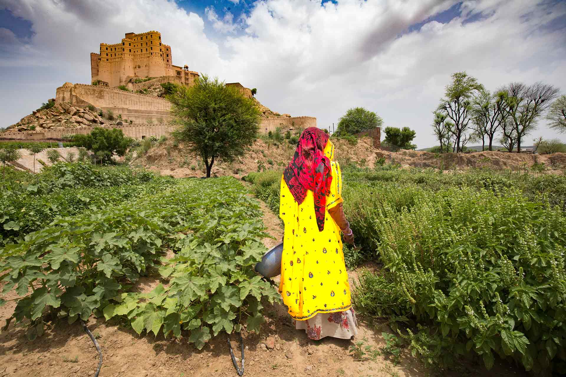 Alila Fort Bishangarh