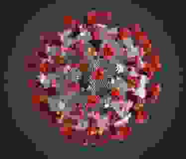 This illustration, created at the Centers for Disease Control and Prevention (CDC), reveals ultrastructural morphology exhibited by coronaviruses, including the novel coronavirus identified as the cause of an outbreak of respiratory illness first detected in Wuhan, China in 2019, 2020. Courtesy CDC/Alissa Eckert, MS. CDC requests display of watermark due to emergent nature of outbreak. (Photo by Smith Collection/Gado/Getty Images)