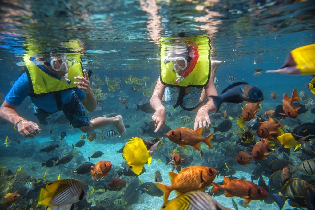 Image courtesy of Disney Aulani