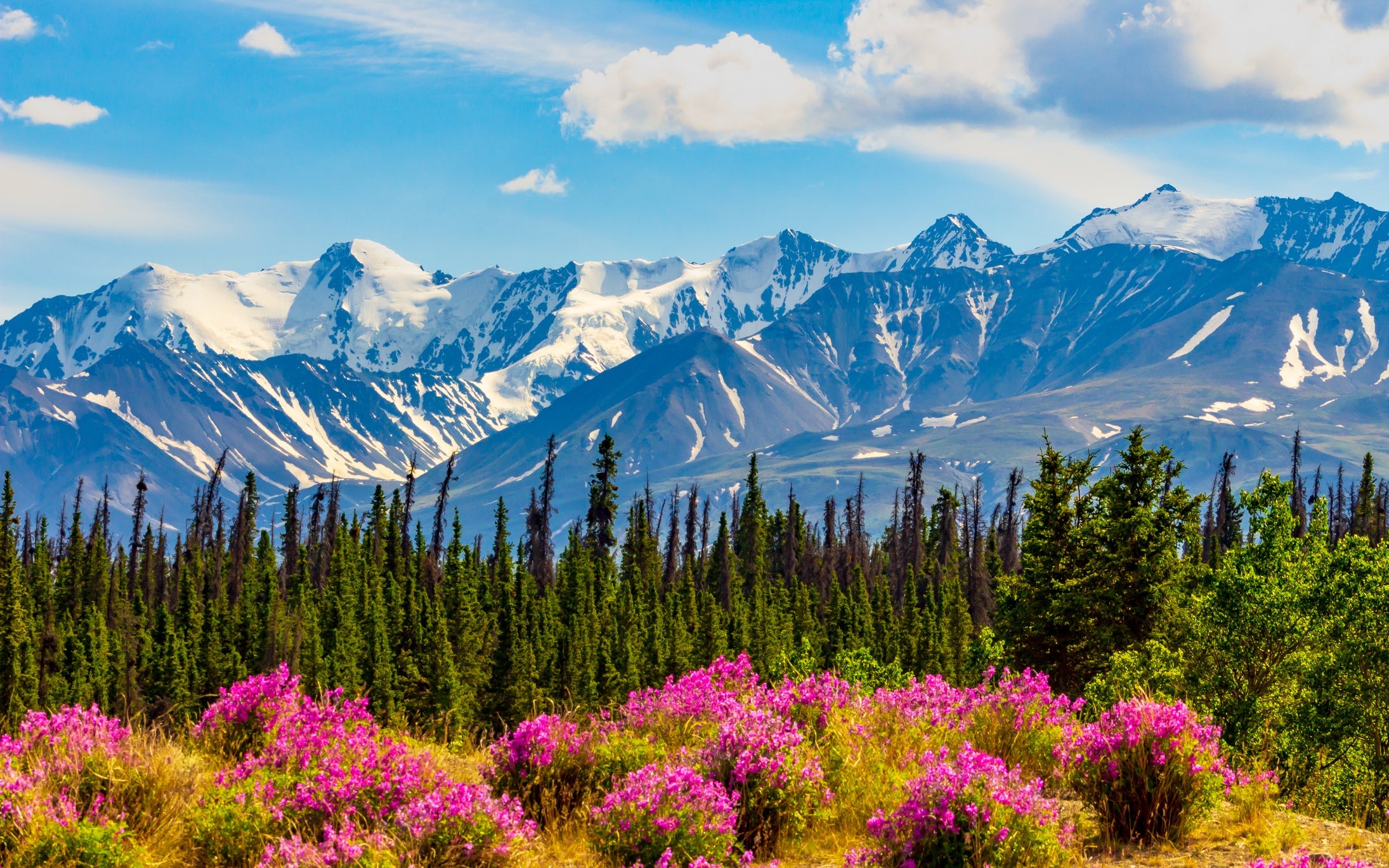 Yukon, Canada, mountain scenery