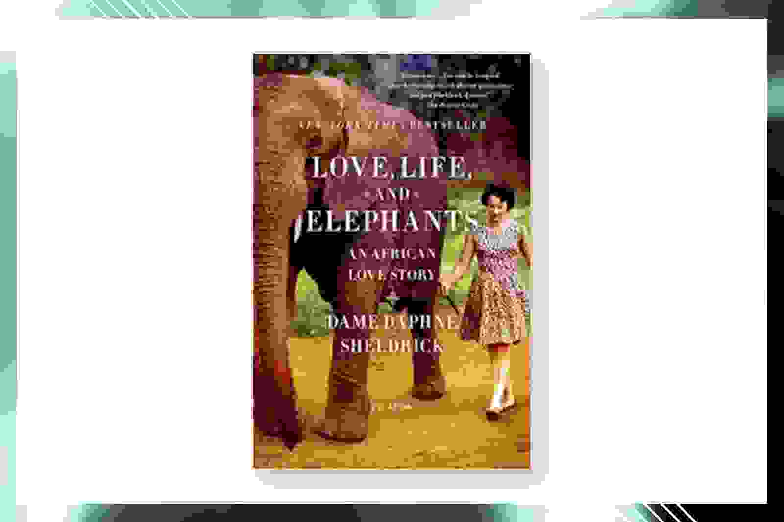 (Photo courtesy of Amazon)