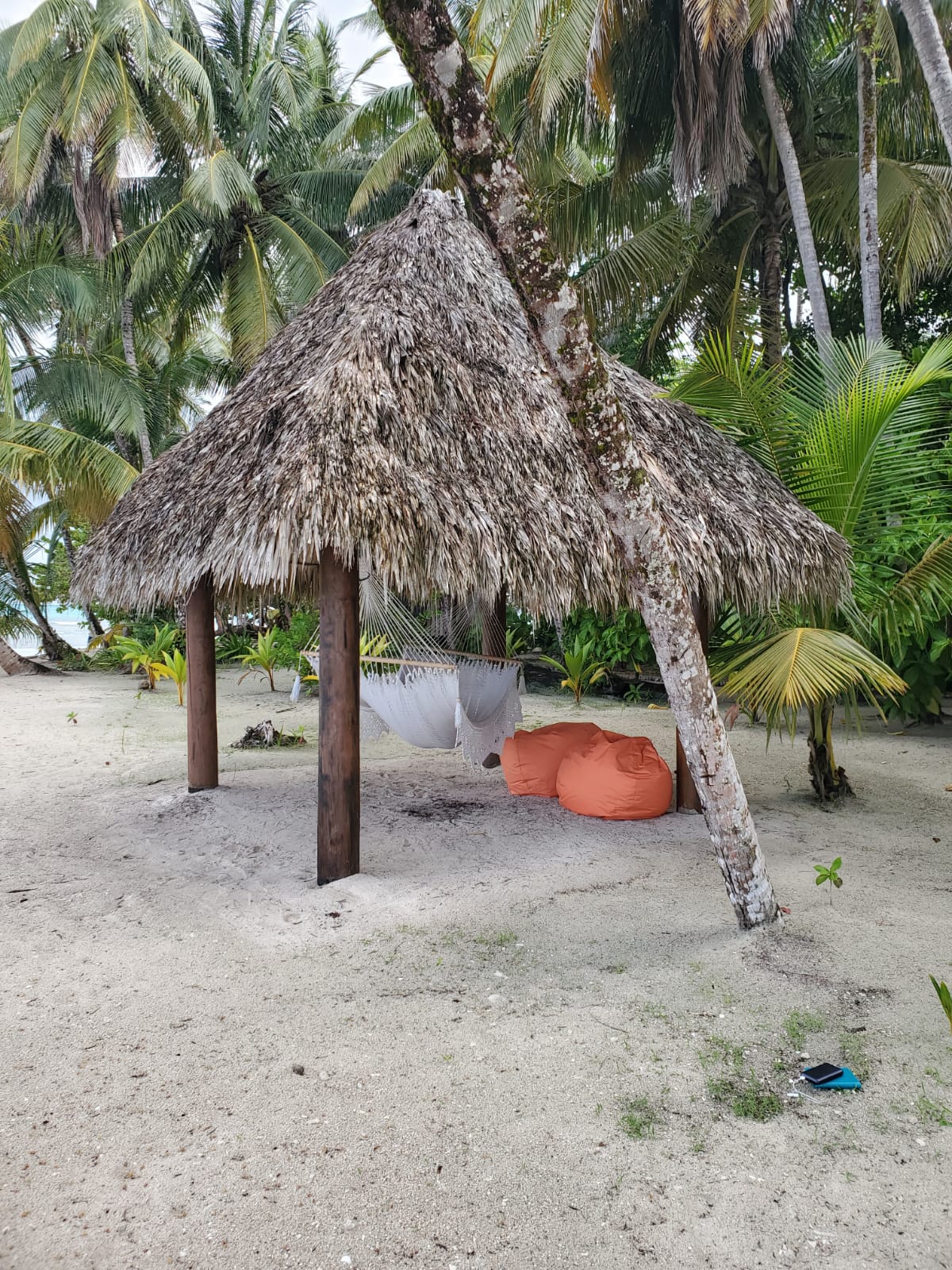 My hammock and bean bag chairs. (Photo by Carissa Rawson).