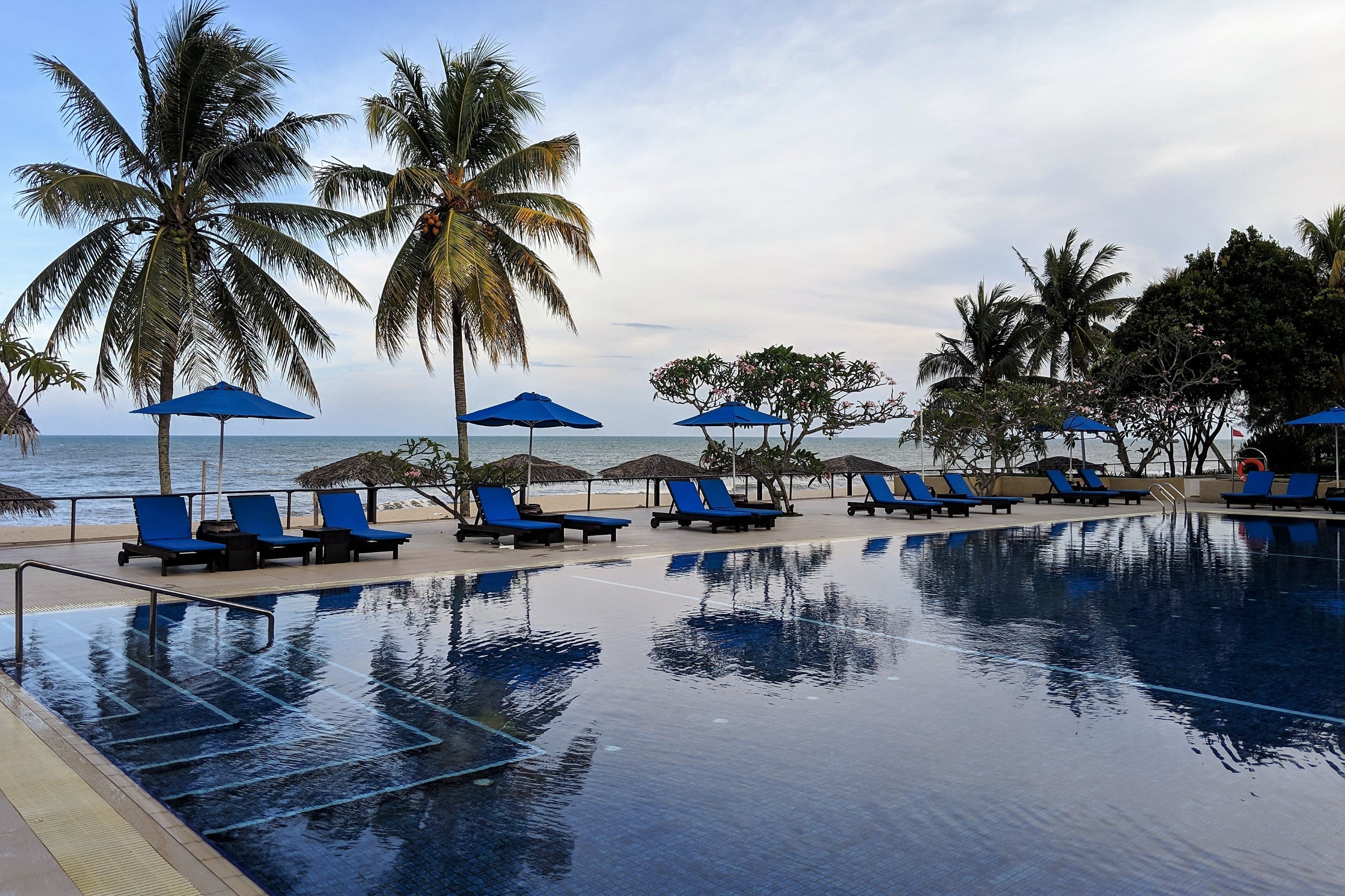 palm trees and beach chairs sit around a pool
