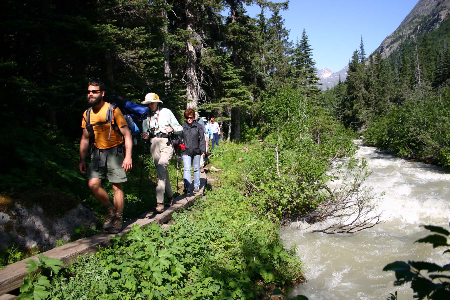 The 6 best Alaska cruise shore excursions - The Points Guy
