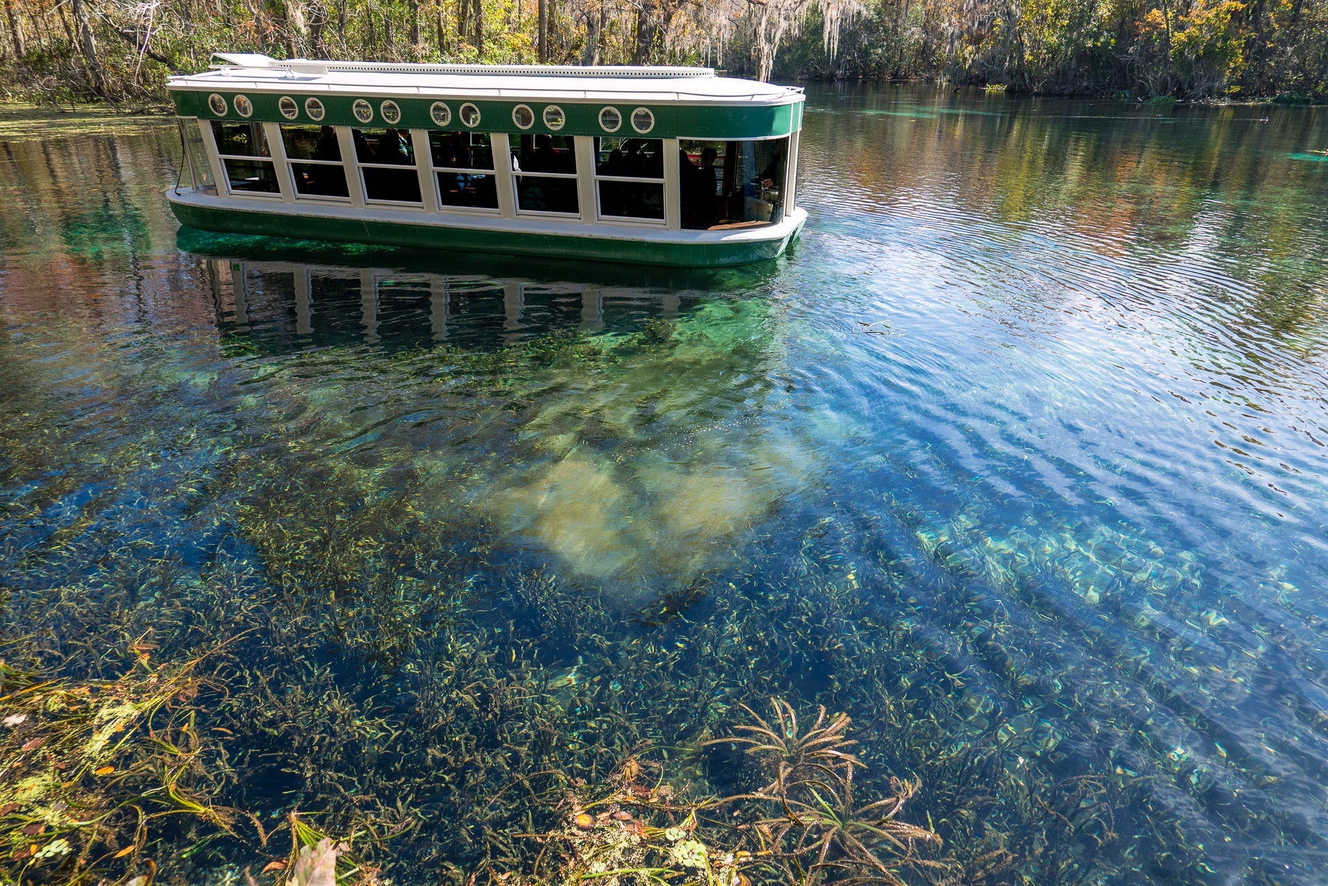 Silver Springs State Park - glass bottom boat - Florida