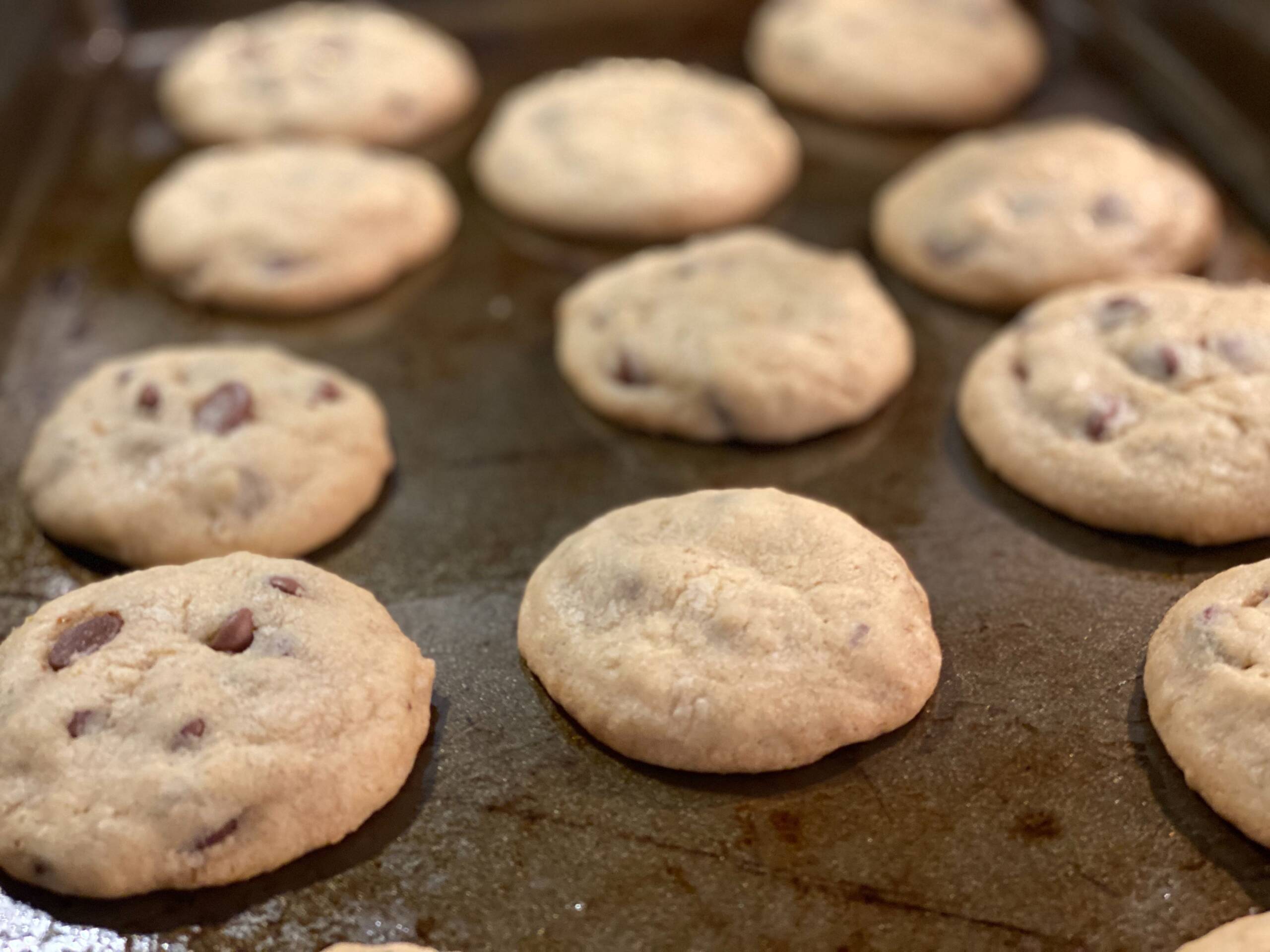 Caitlin's chocolate chip cookies