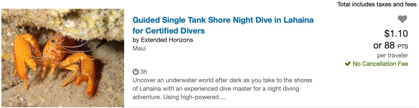 Chase Ultimate Rewards Maui diving expedition