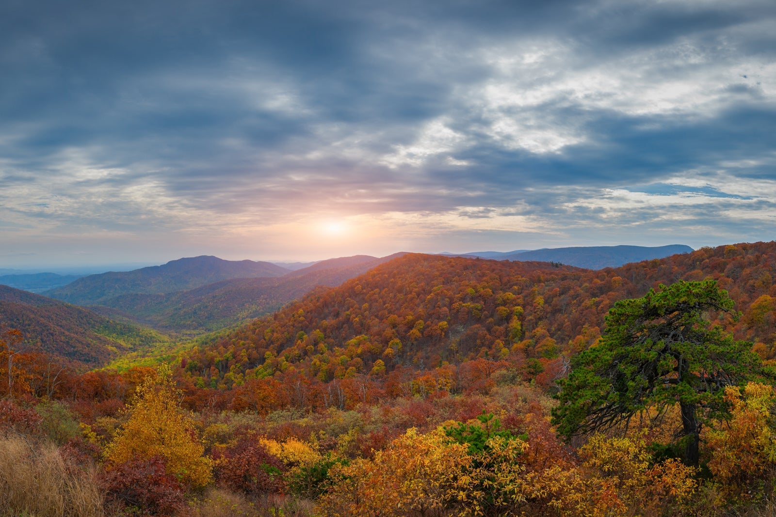 Shenandoah National Park during the fall
