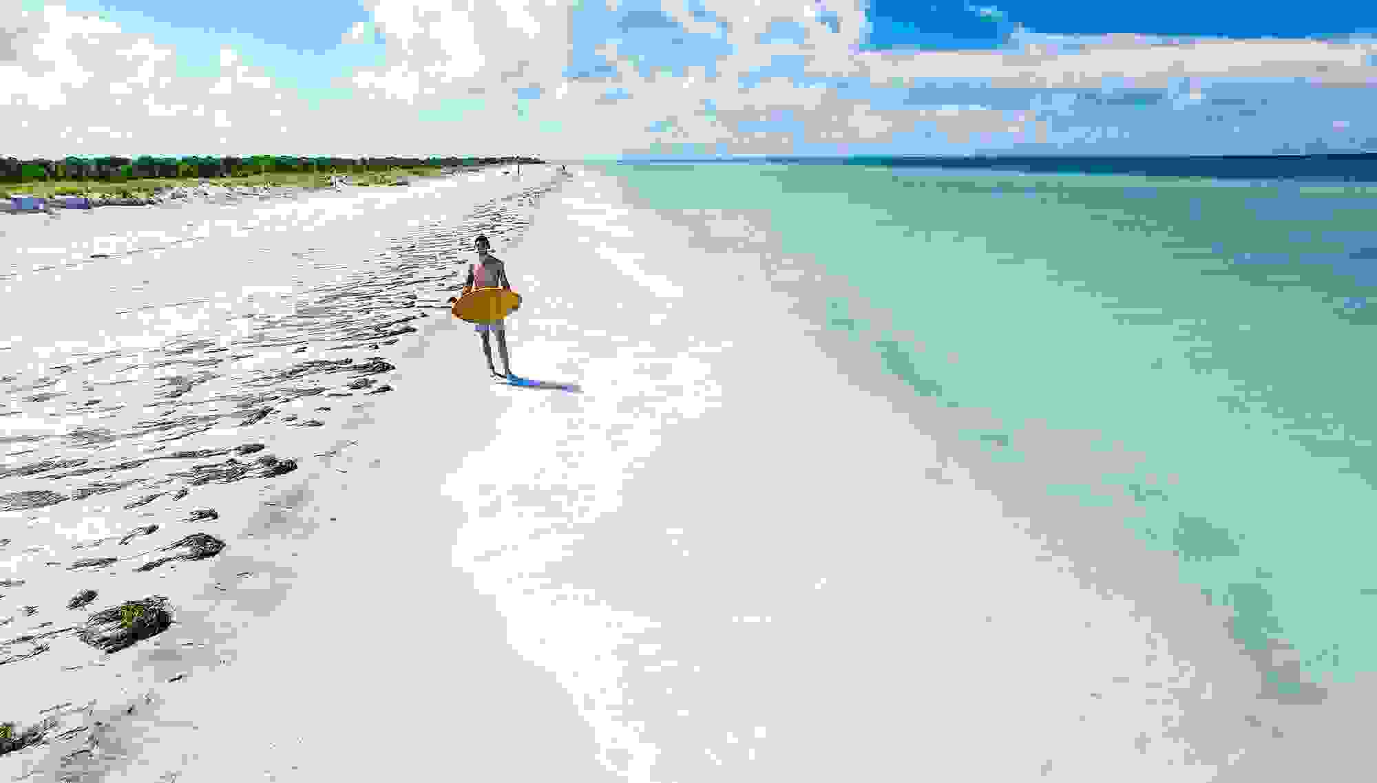 Caladesi Beach, Florida