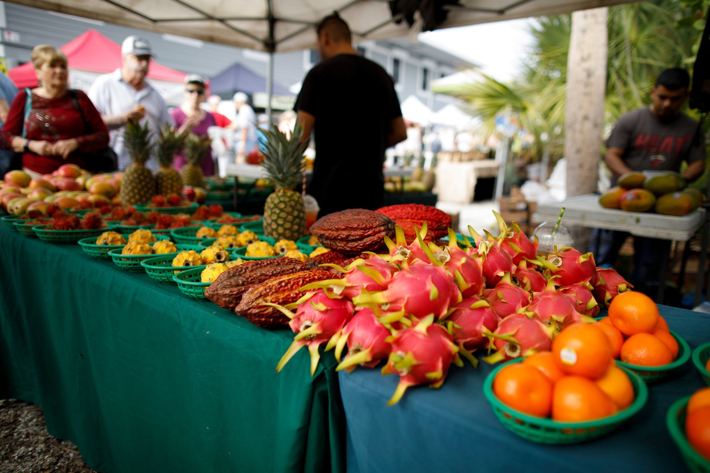 Sanibel Island Farmers Maarket