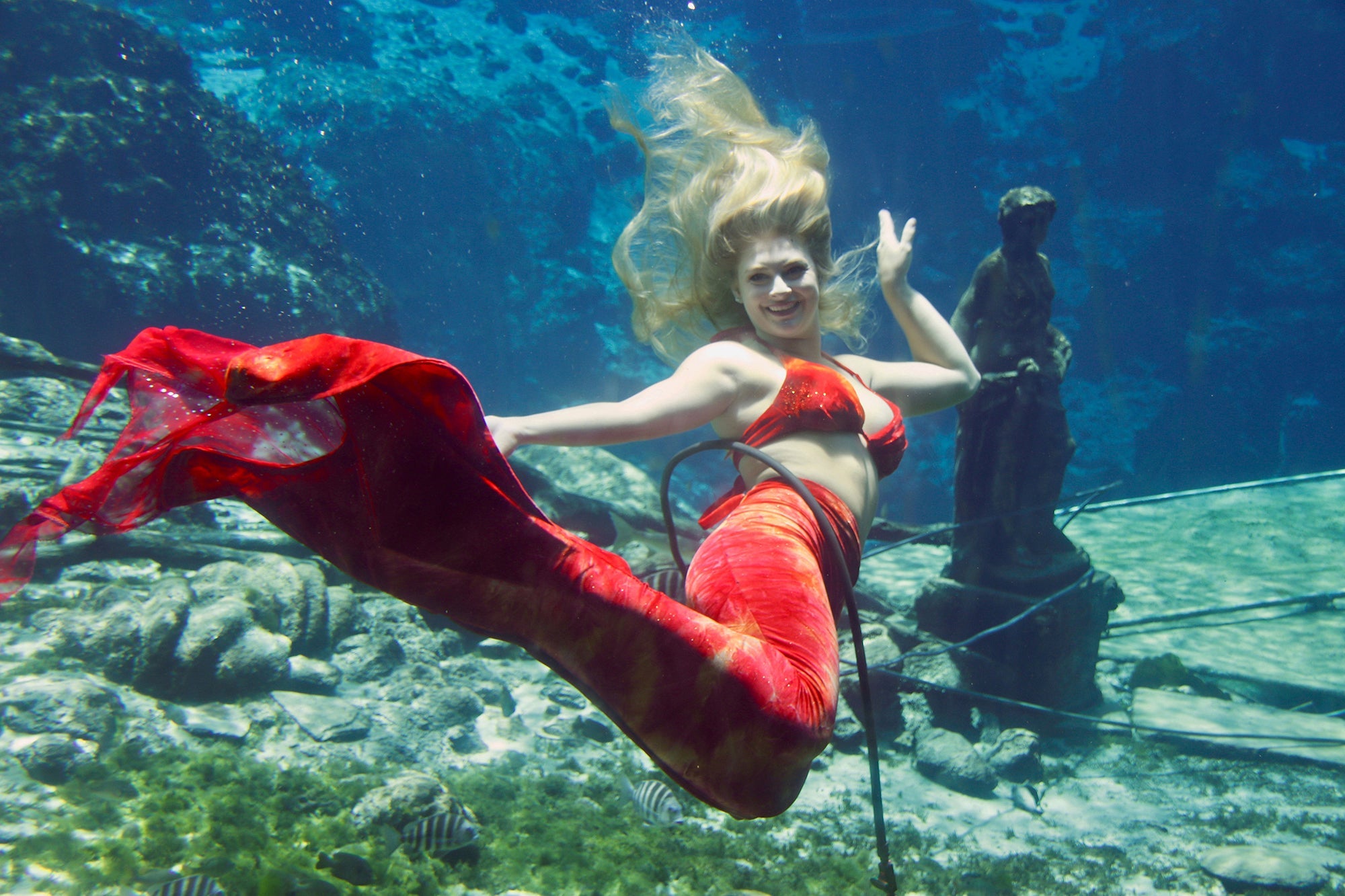 Weeki Wachee Mermaids Florida