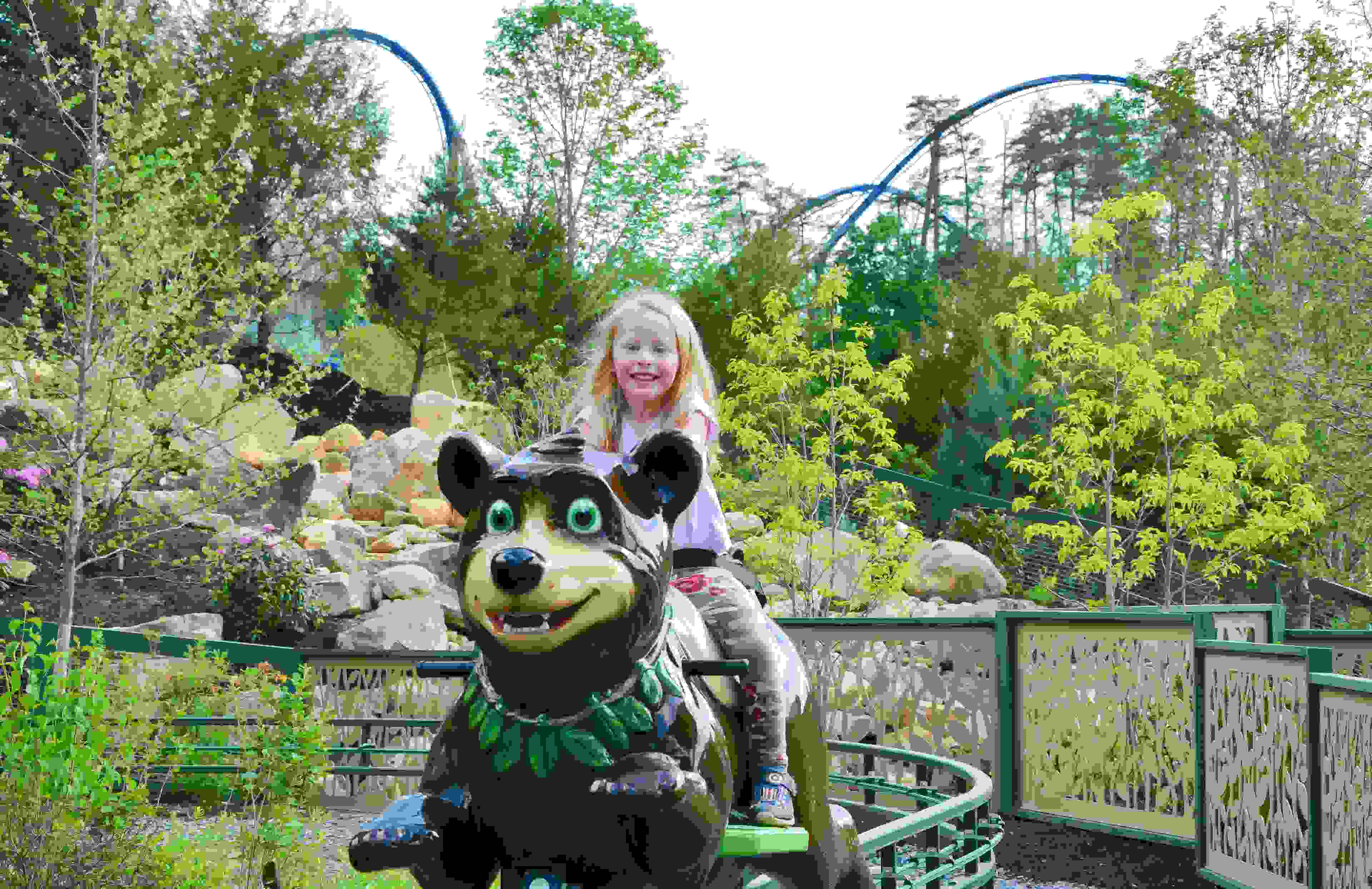 Black Bear Trail - Dollywood