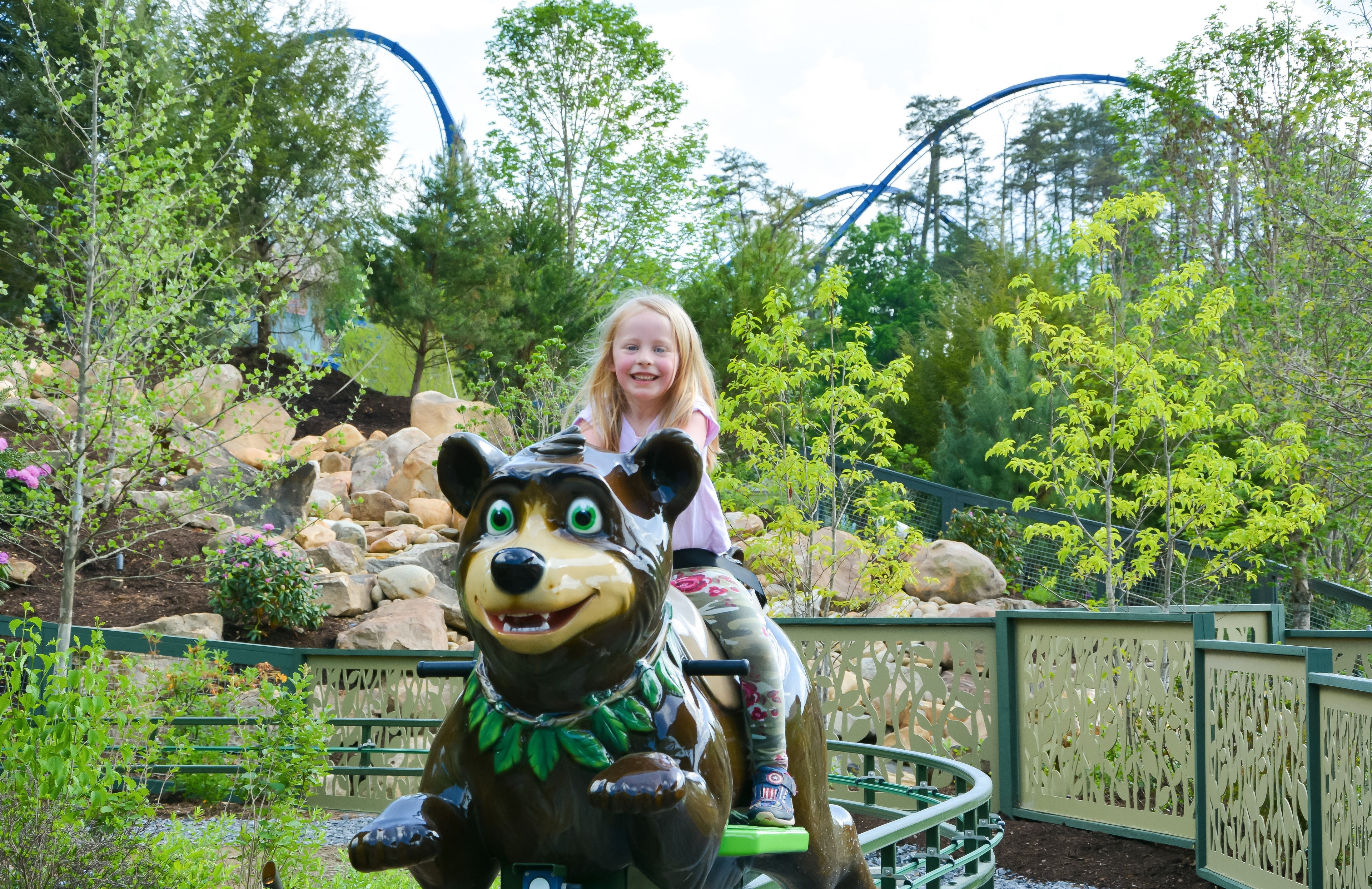 Black Bear Trail - Dollywood